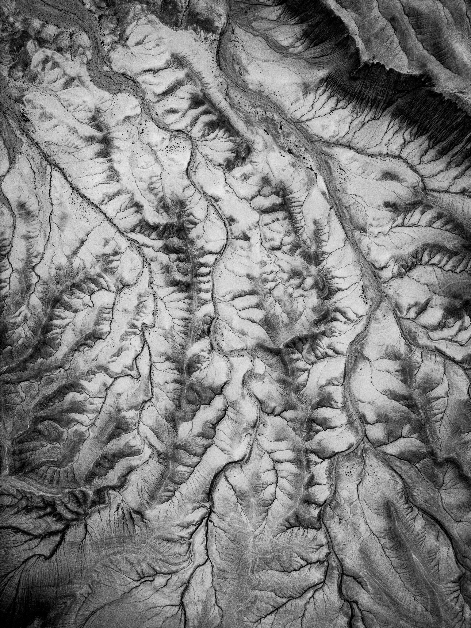 DJI_0409.jpg