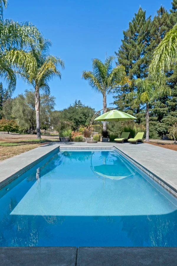 A backyard swimming pool surrounded by palm trees and lounge chairs with a bright green umbrella, under a clear blue sky.
