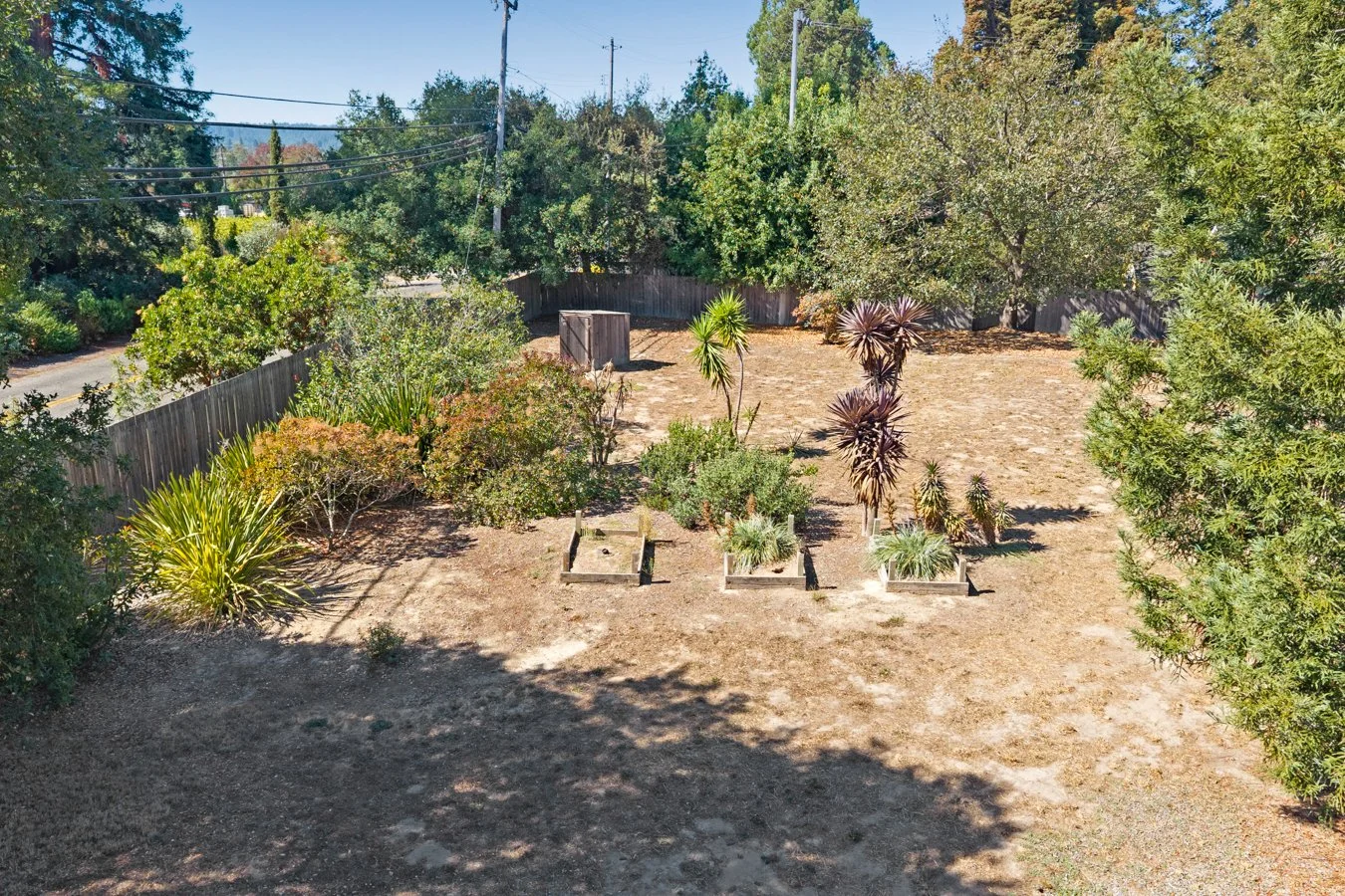 A backyard with dry grass, several types of plants and trees, a wooden fence, and utility poles and trees in the background.