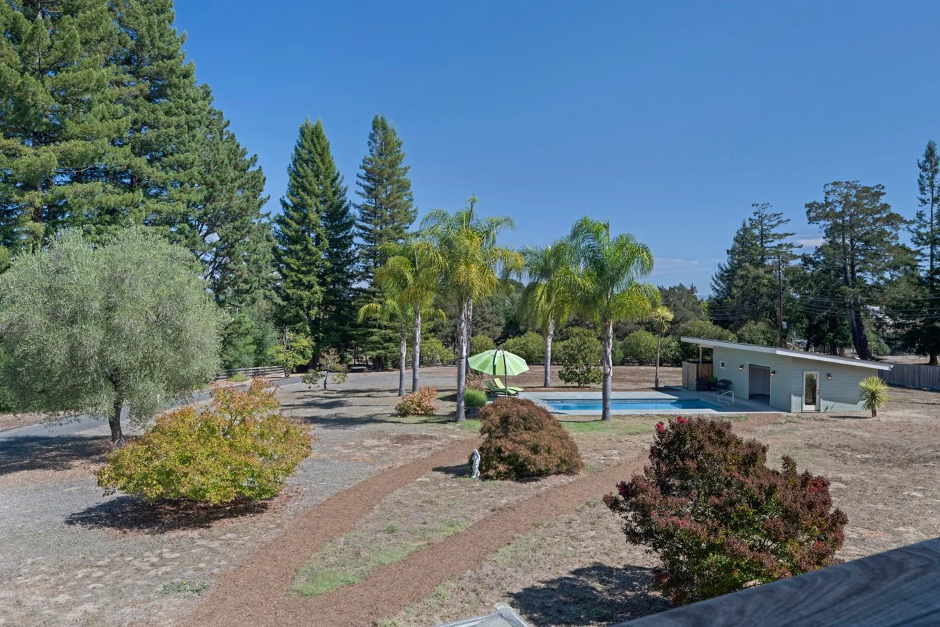 A backyard with a small pool, a green umbrella, palm trees, a shed, and a landscaped yard with various shrubs and trees under a blue sky.