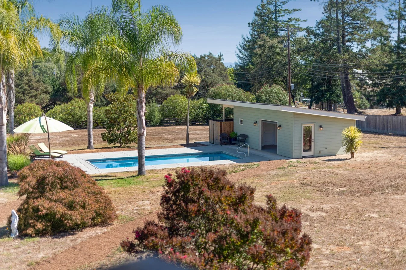 A backyard scene with a small pool, patio, and a modern shed surrounded by trees and bushes, sunny sky.