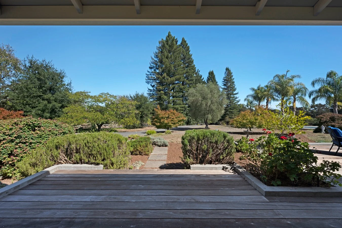 View from a porch looking out over a garden with bushes, small trees, and taller pine and palm trees under a clear blue sky.