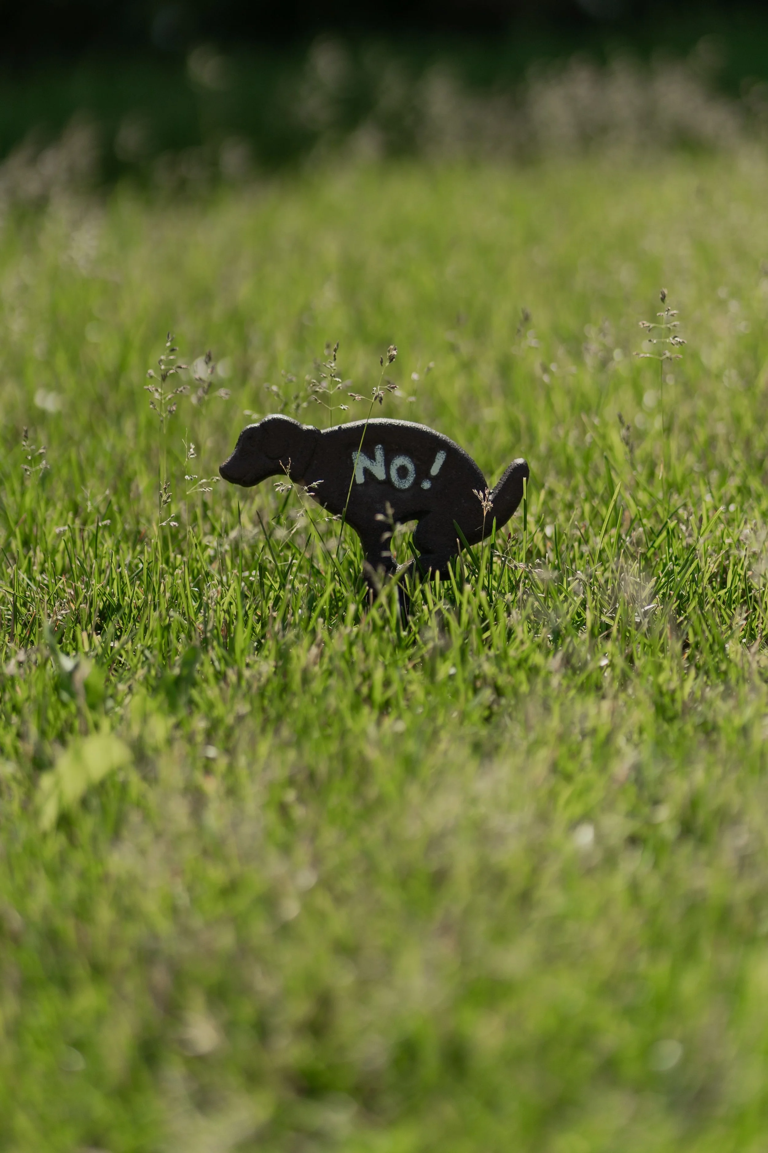 Small black chalkboard cutout of a dog with the words 'No!' written on it, placed on a grassy field with blurred background.