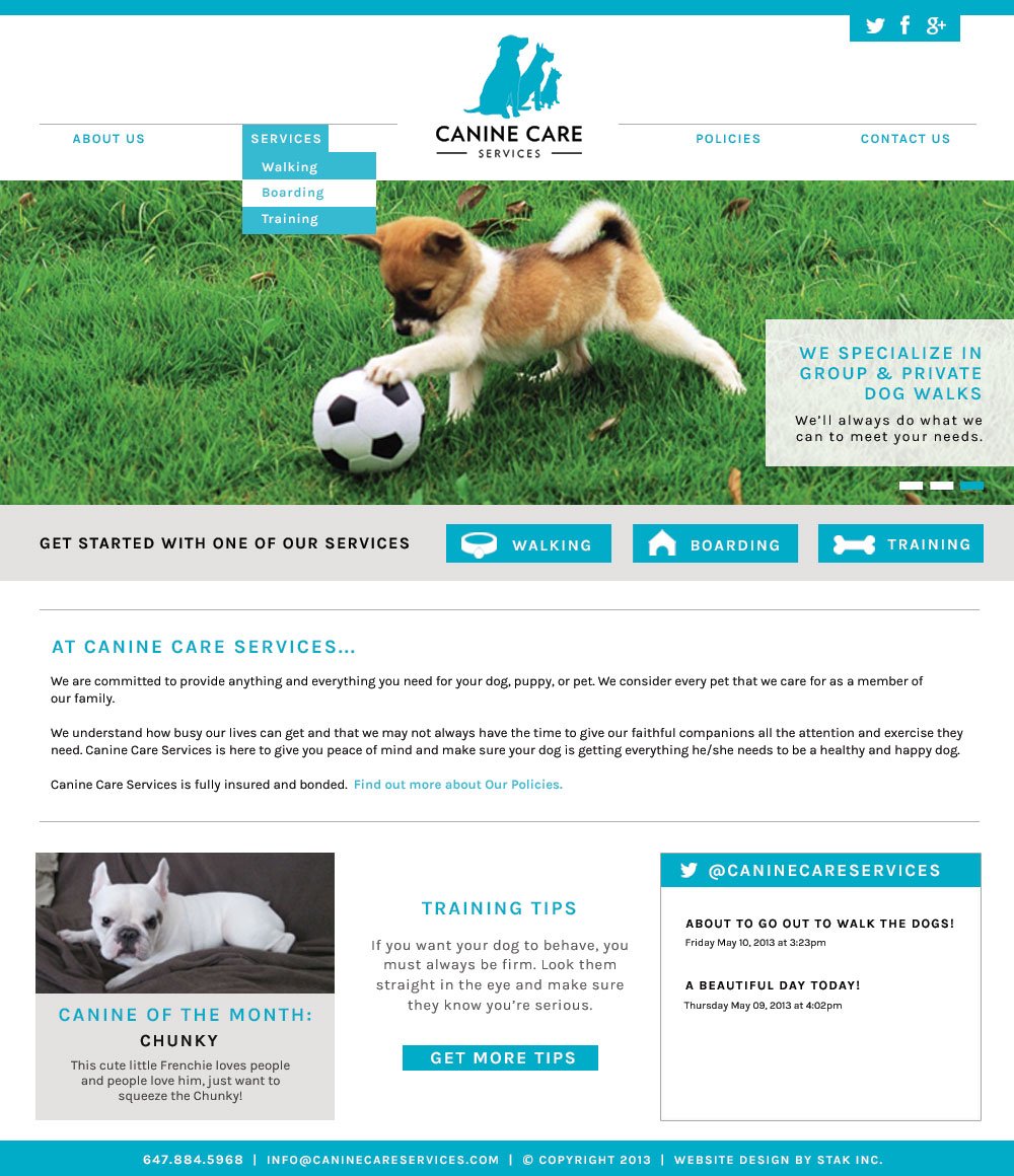 Dog playing with a soccer ball on a grassy field with website navigation and information about dog care services.