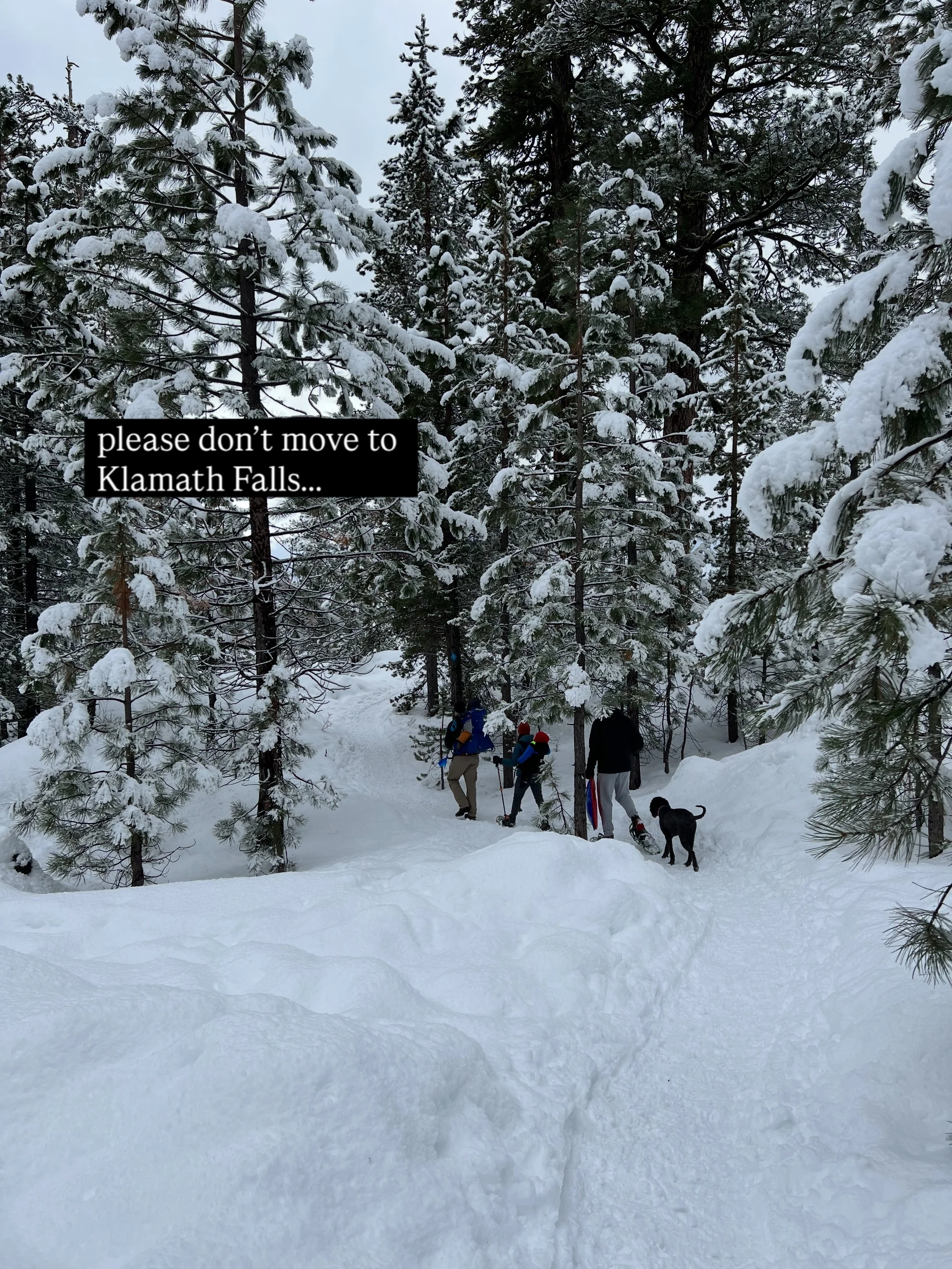Just another reason we chose to make Klamath Falls our home! We love snow&mdash;it beats rainy weather no matter how cold it is. We could make a day trip to one of the 3 ski resorts within a 2 hour drive, or just go sledding in Moore Park. 

So, I&rs