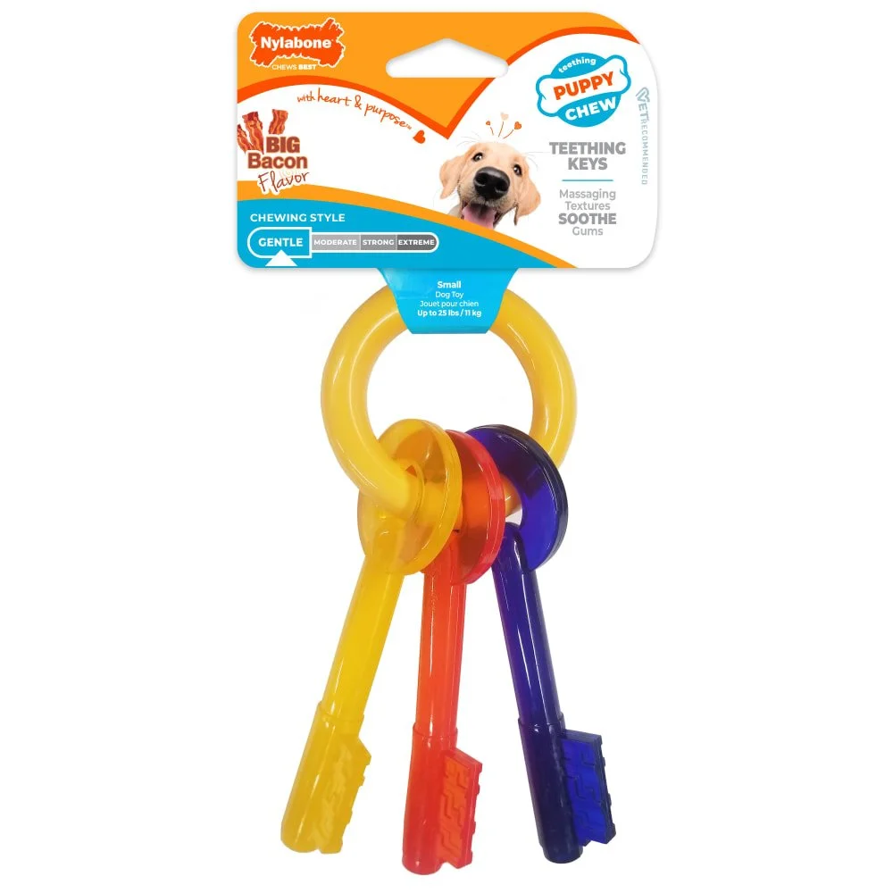 Nylabone Puppy Teething Keys Chew Dog Toy, Bacon Flavor: Size: X Small