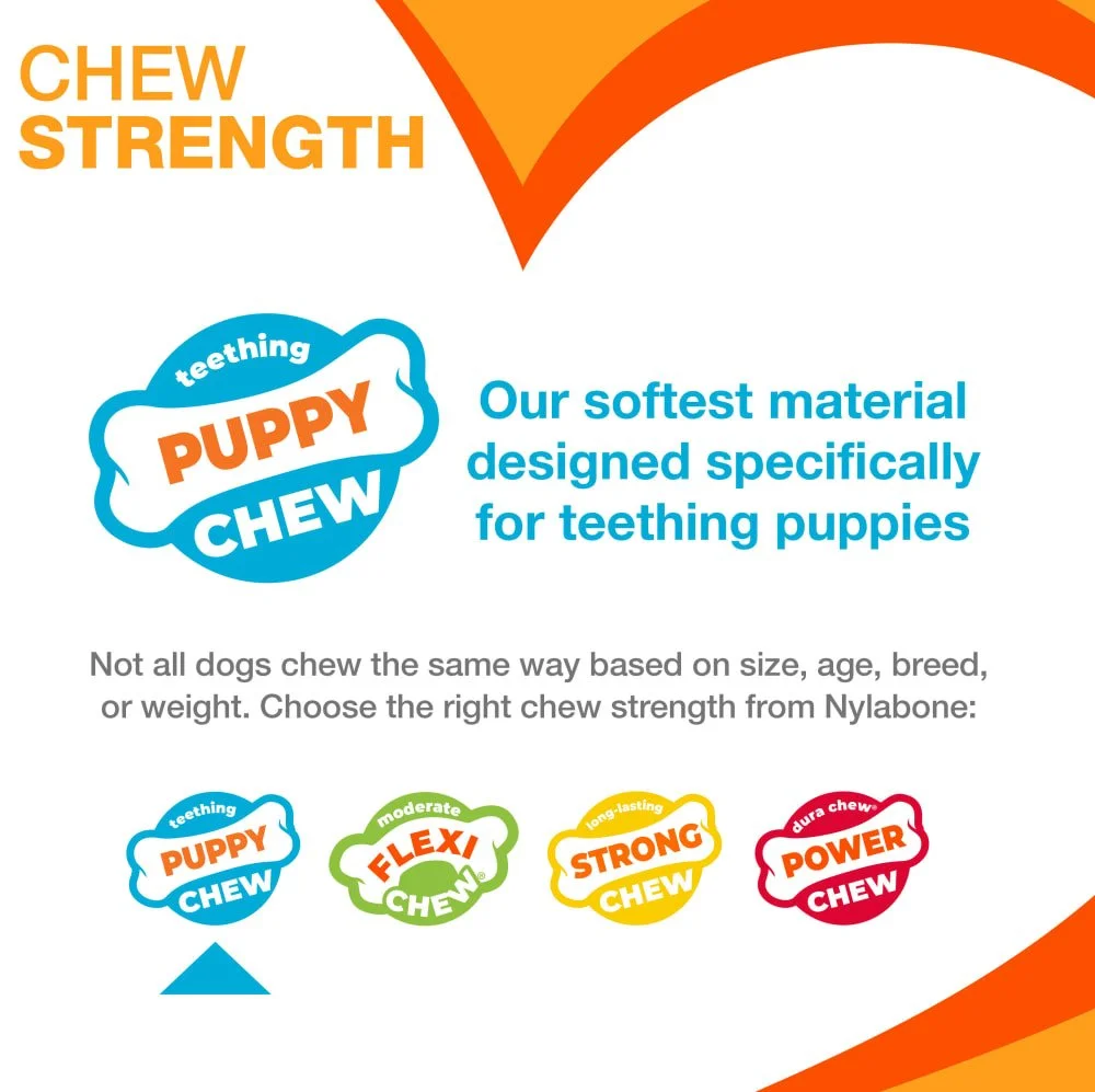 nylabone-chew-strength-puppy-chew-fy25.jpg