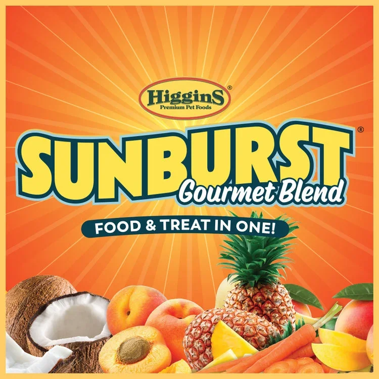 SunburstEntryLogo_1024x1024.webp