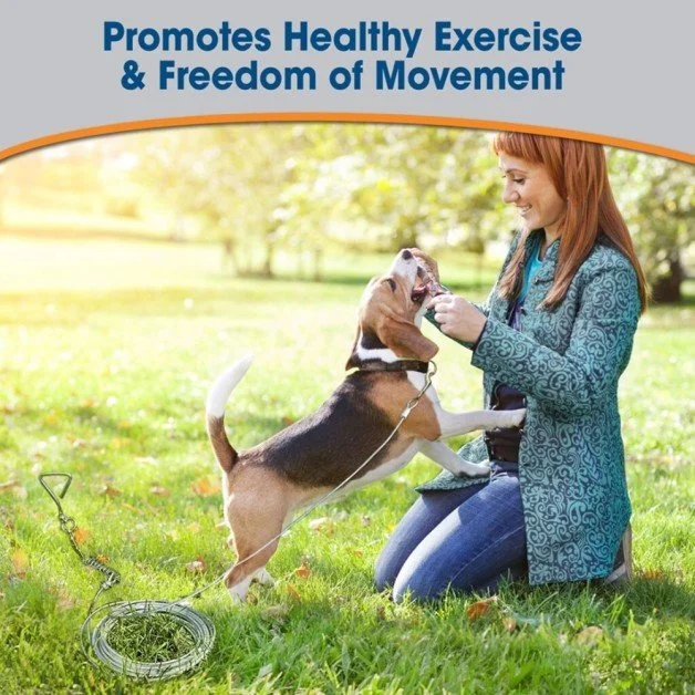 four-paws-walk-about-tie-out-cable-heavy-weight-15-ft-2_medium.jpg
