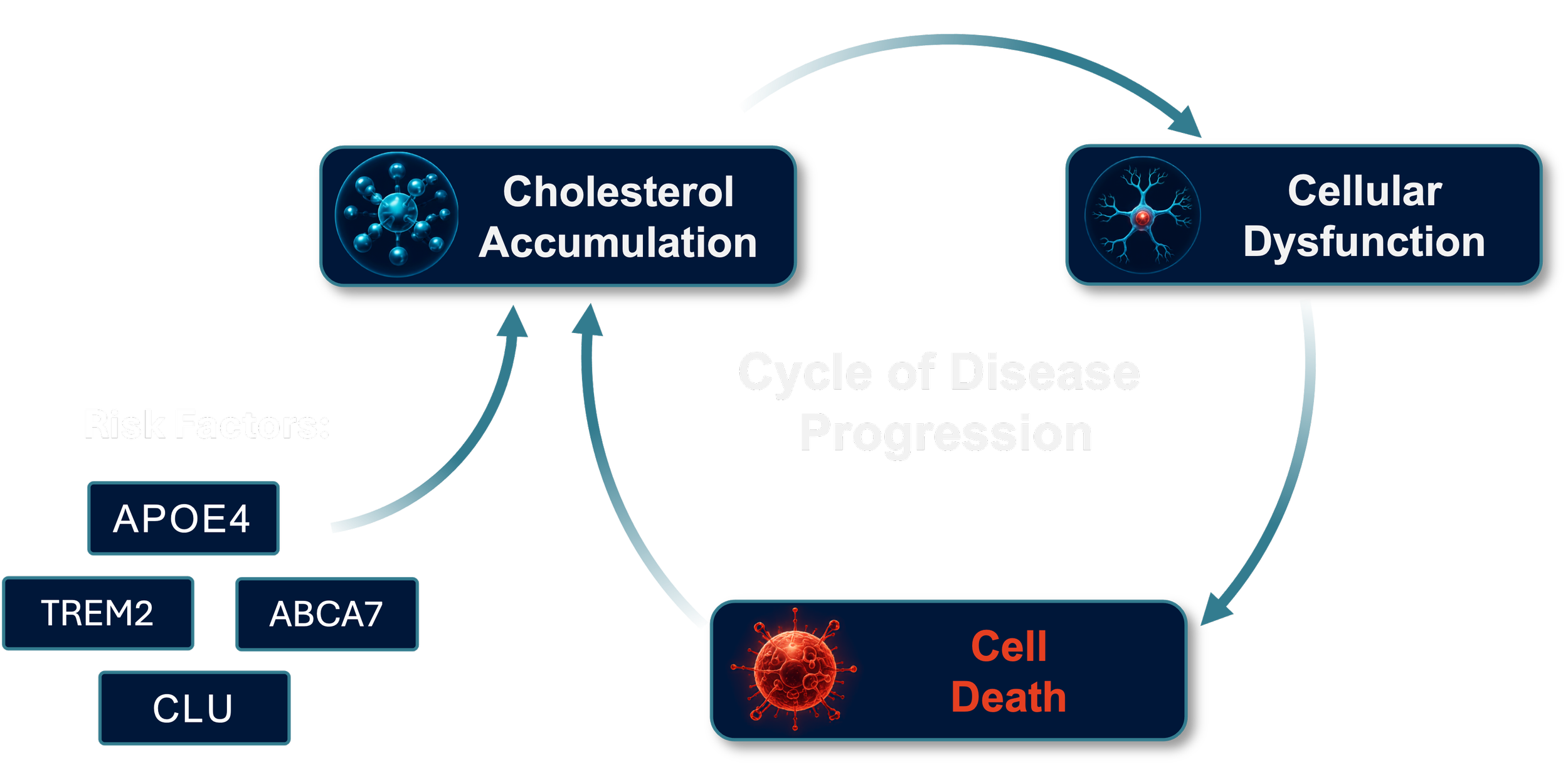 Diagram showing the cycle of disease progression from cholesterol accumulation to cell death, including risk factors such as APOE4, TREM2, ABCA7, and CLU.