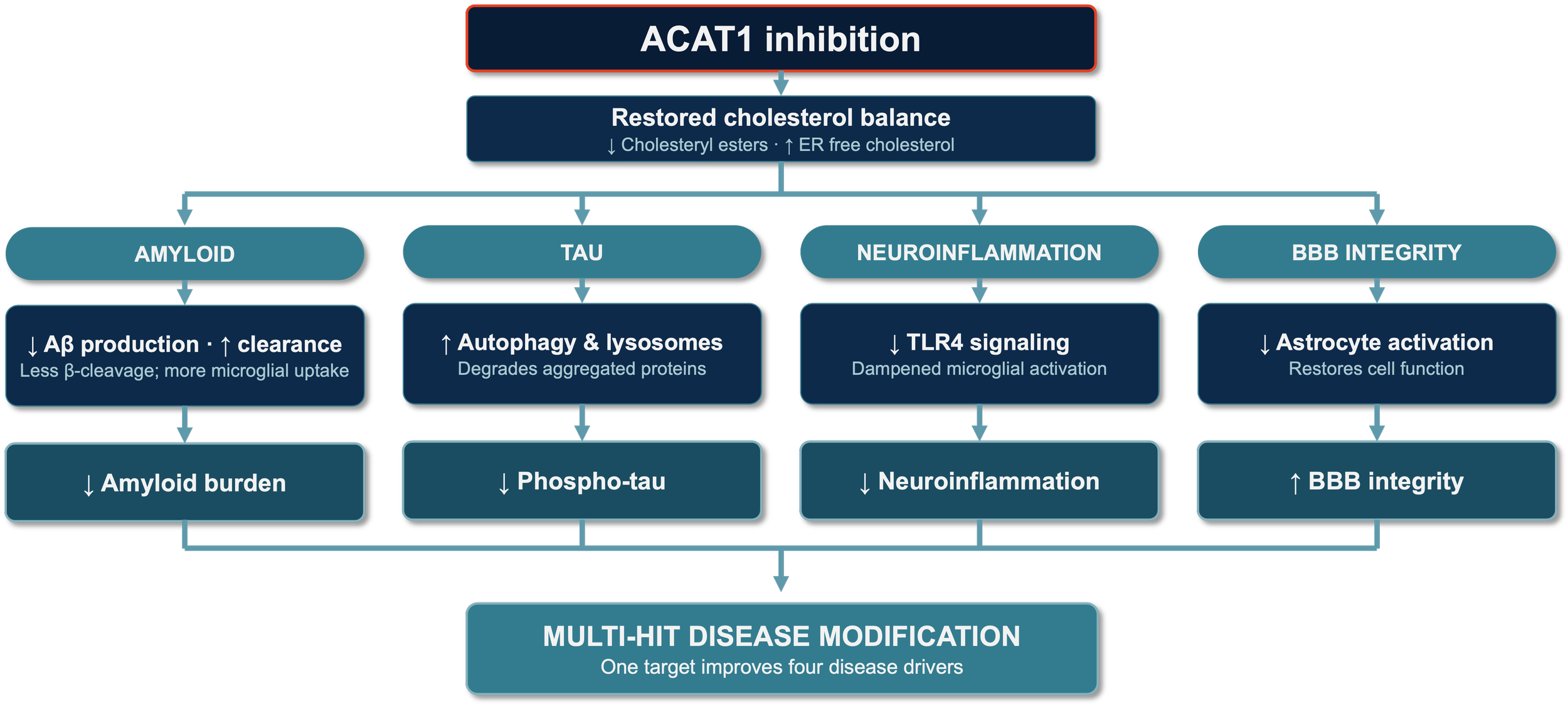 A flowchart illustrating how ACAT1 (SOAT1) inhibition can restore cholesterol balance, reduce amyloid and tau pathology, suppress neuroinflammation, and restore BBB integrity.