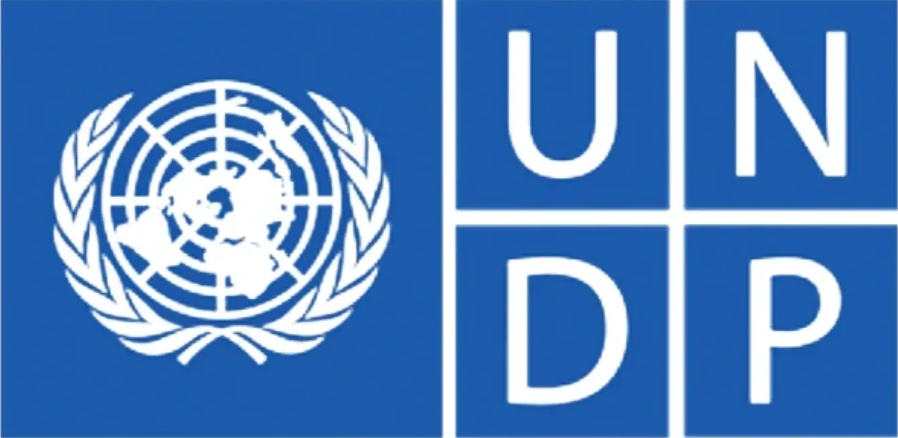 UNDP logo featuring the United Nations emblem of a world map surrounded by olive branches on a blue background, with the acronym UNDP in bold white letters.