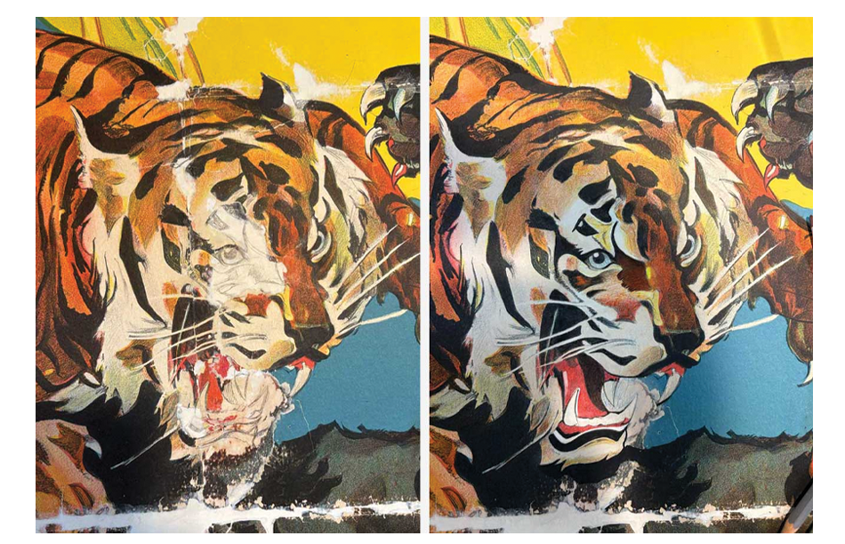 tiger.png