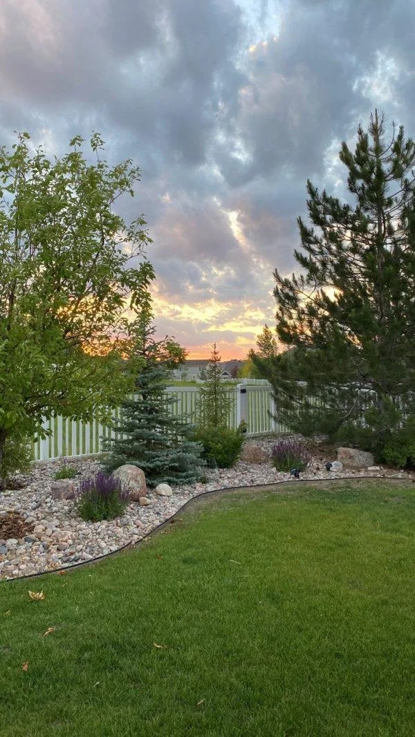 A backyard at sunset with a mulched garden bed featuring rocks, small trees, and shrubs, bordered by a green lawn and enclosed by a white fence, under a cloudy sky.
