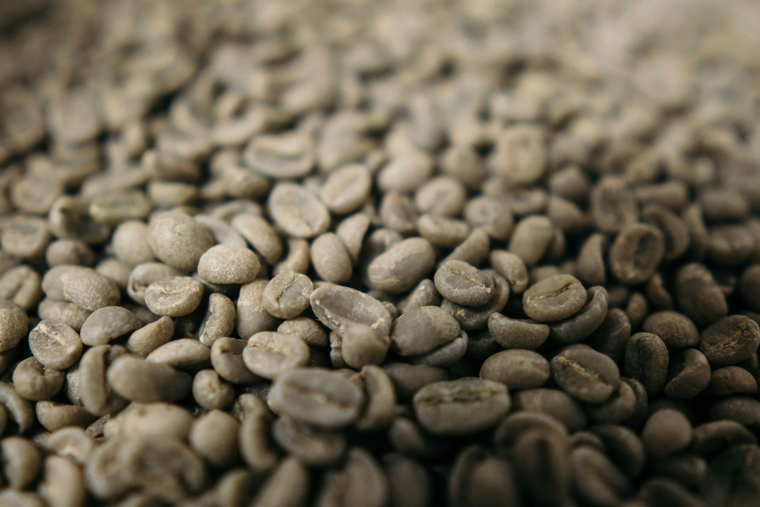 Unroasted green coffee beans