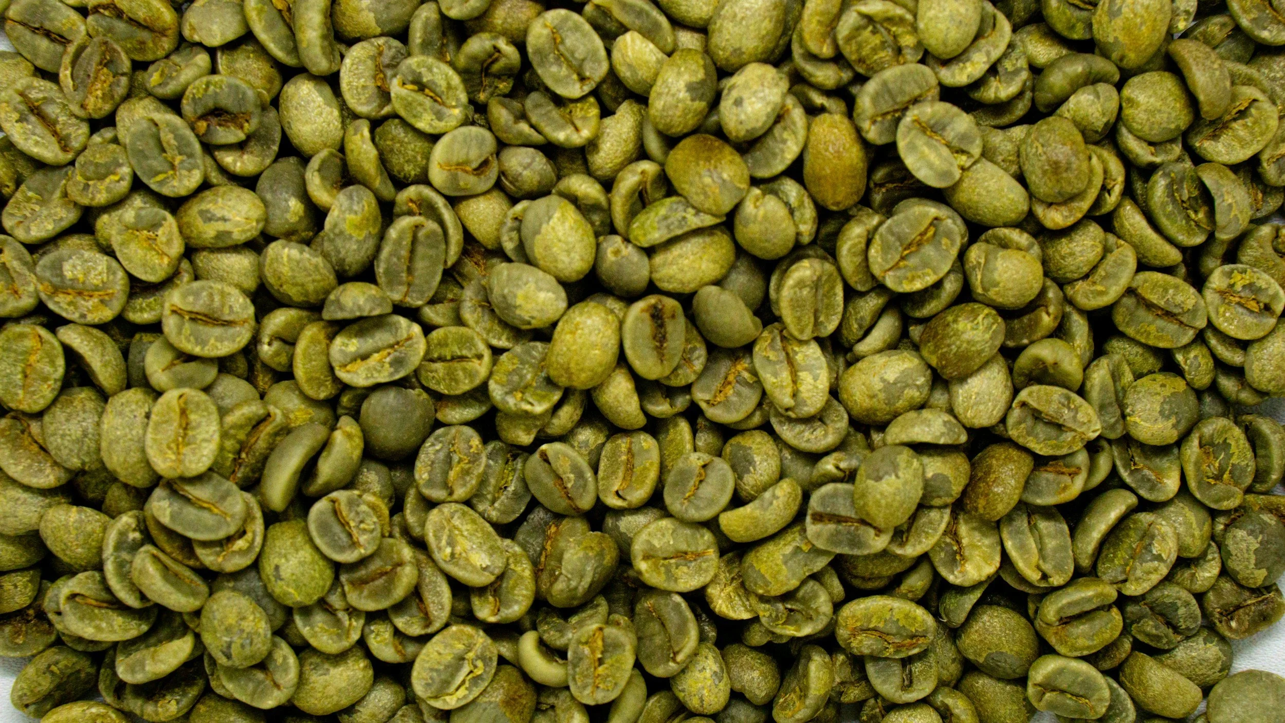 Close-up of green coffee beans