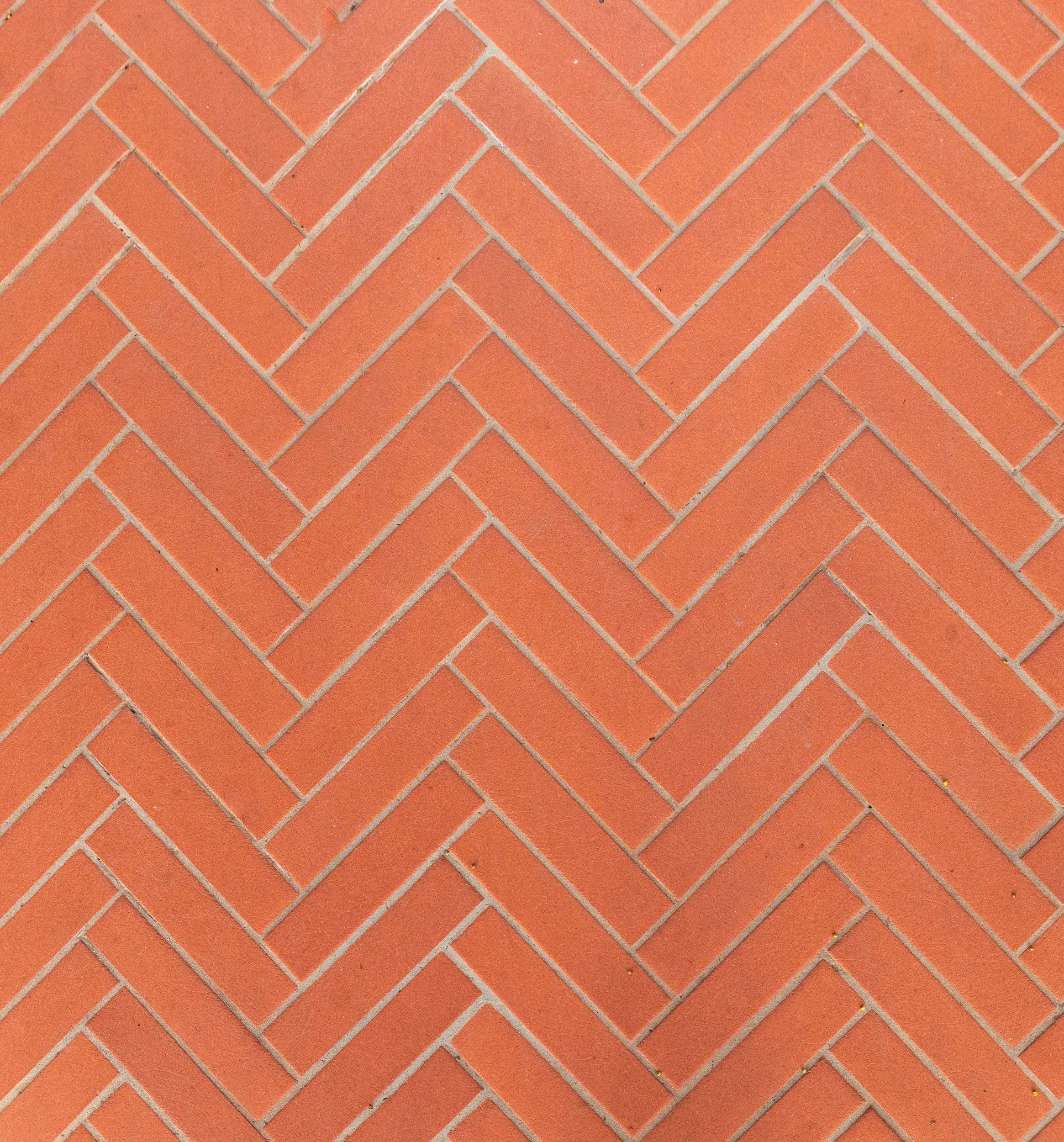 unsplash-image-O6646hSv9FU.jpg
