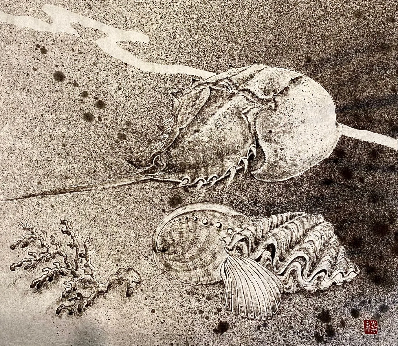 Drawing of marine life including a crab, a nautilus shell, a scallop shell, and coral, set on a sandy background with black ink splatters.