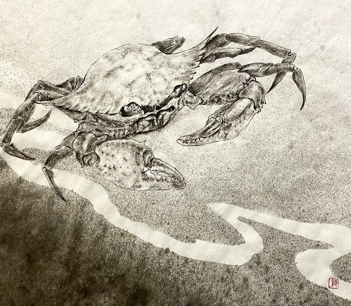 Sketch of a crab on a sandy surface, with detailed shading and textured background.