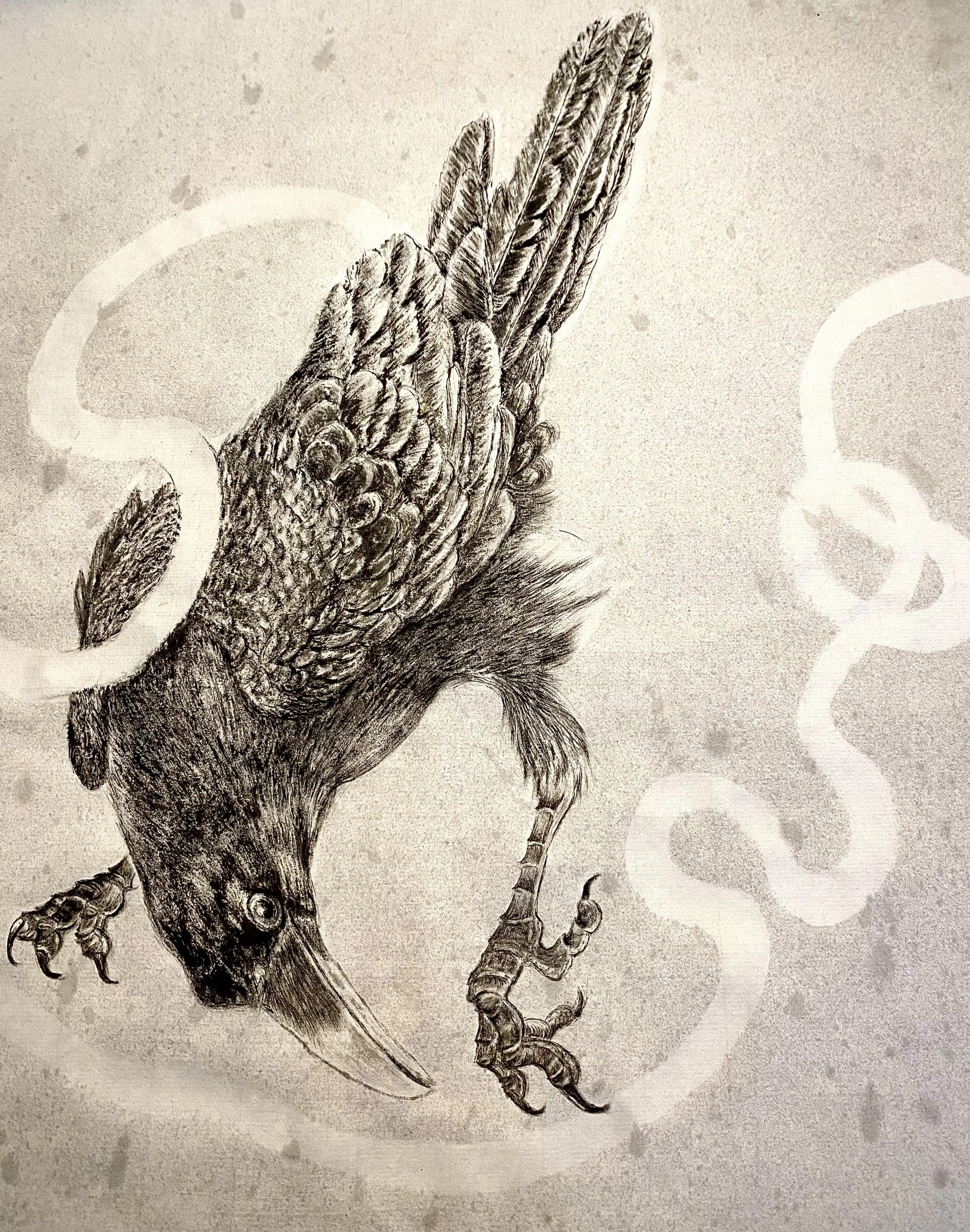A detailed black and white painting of a crow's head and talons, with a textured background and abstract shapes.