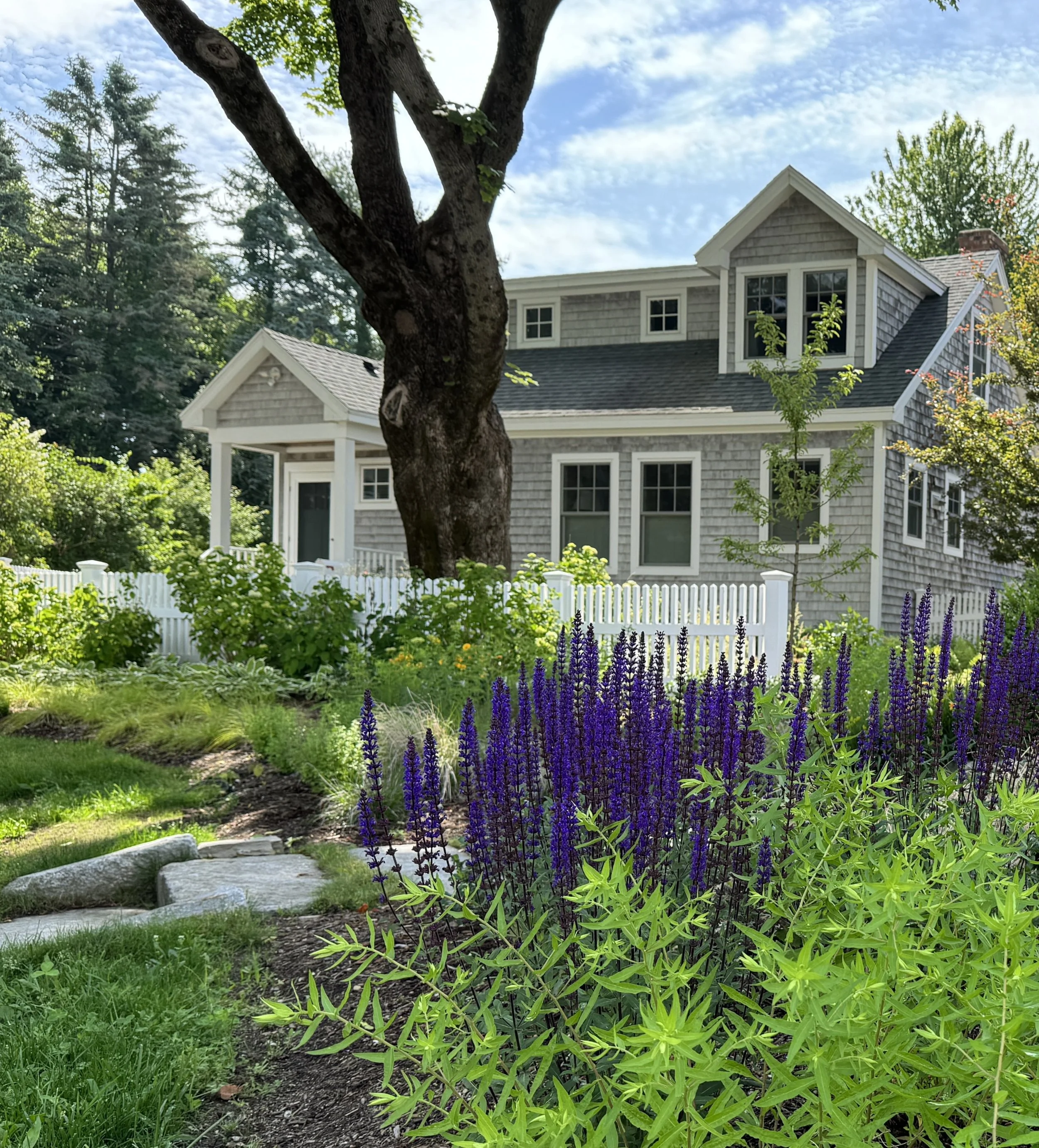 Cape Elizabeth, Maine front garden. Soft, regional plantings, native plants, and mature trees blending for a naturalistic garden space.