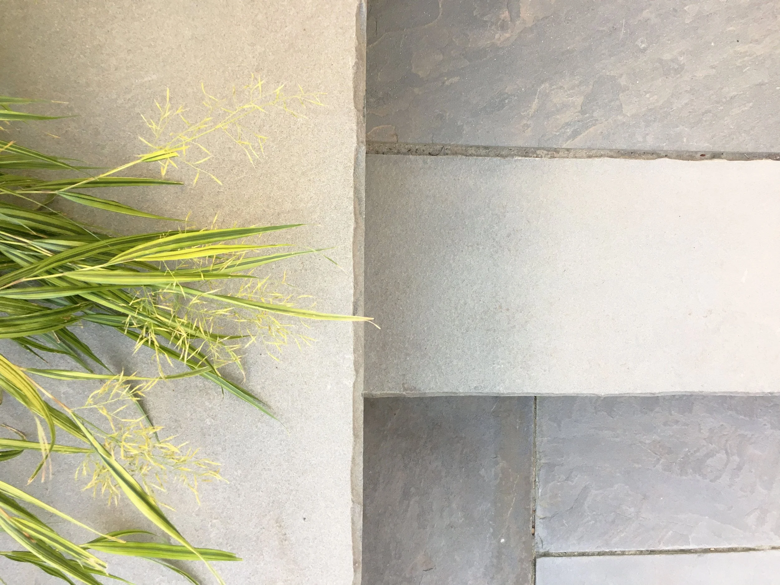 Close-up detail of soft Japanese Forest Grass and natural PA Bluestone paving