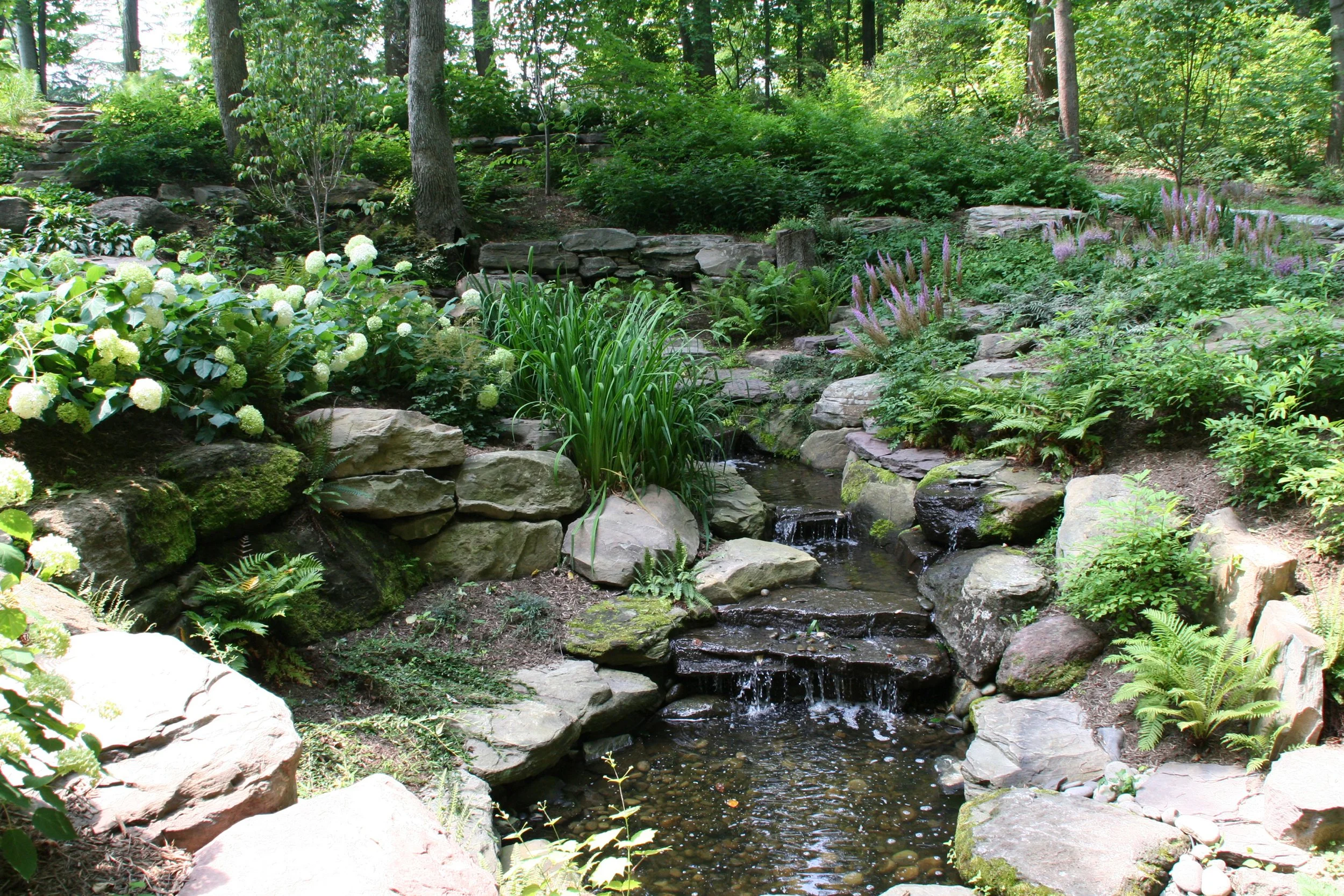 Woodland water feature and waterfall surrounded by naturalistic plantings and mature native trees in Annapolis, MD