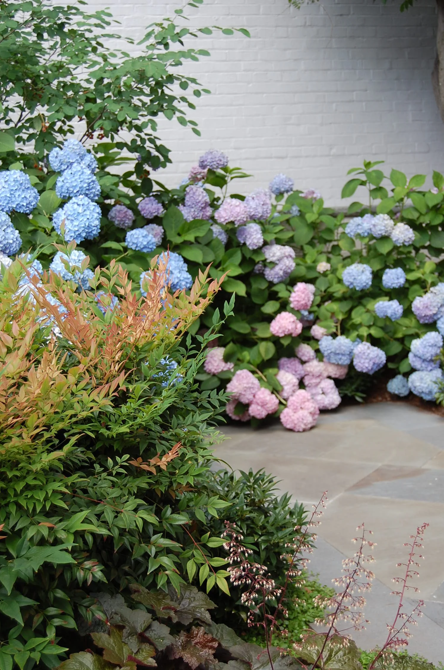 Textural plantings soften a brick and stone entry courtyard in Georgetown, DC