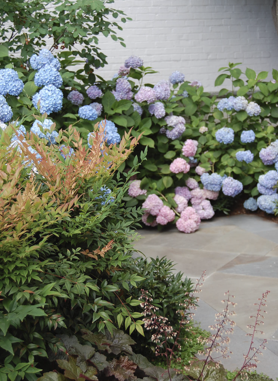 Soft romantic plantings and precise hardscape in Georgetown, DC