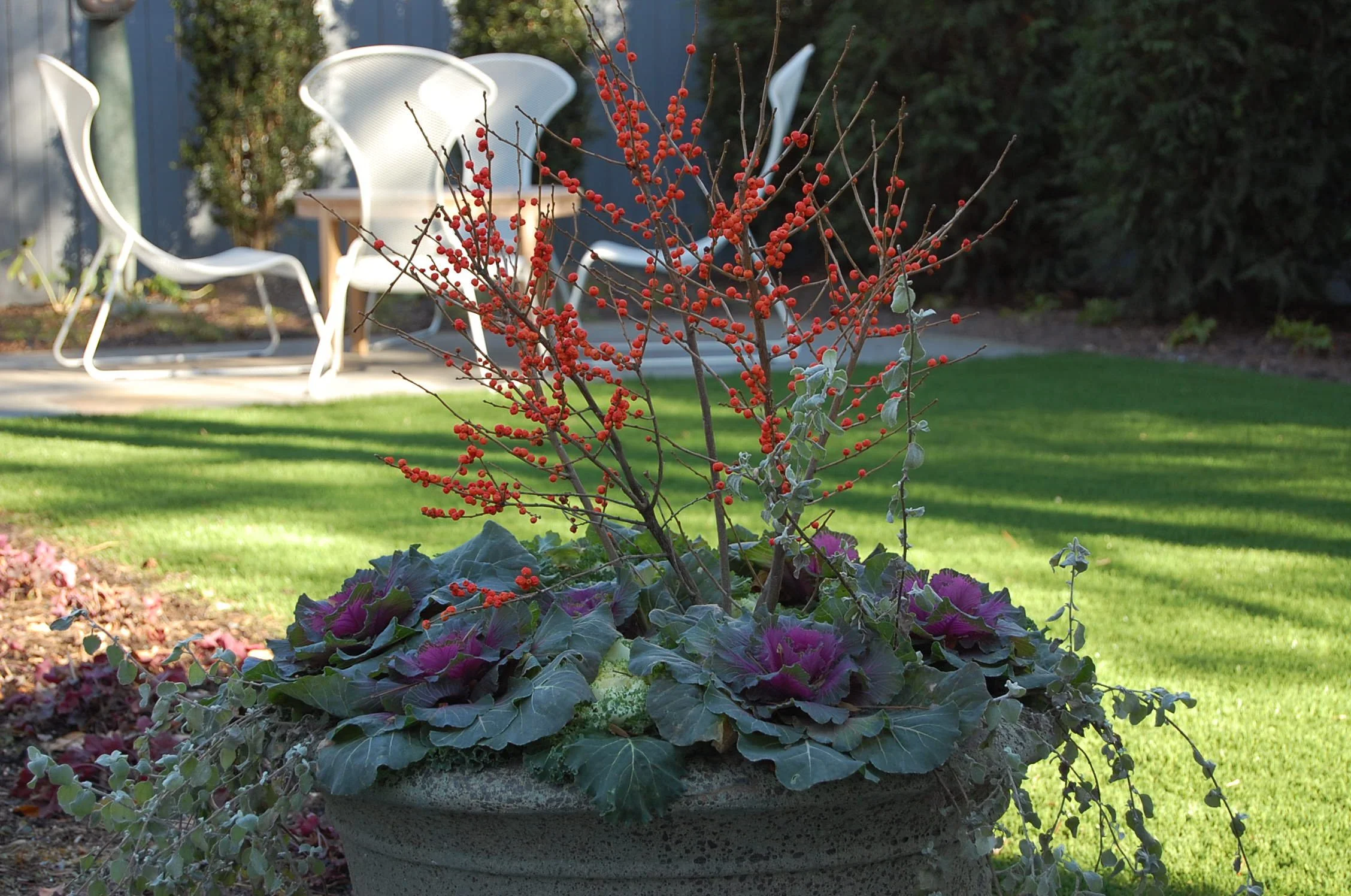 Clean lines and modern design for a private back yard design un NW DC. Colorfulplanters add interest to an autumnal garden