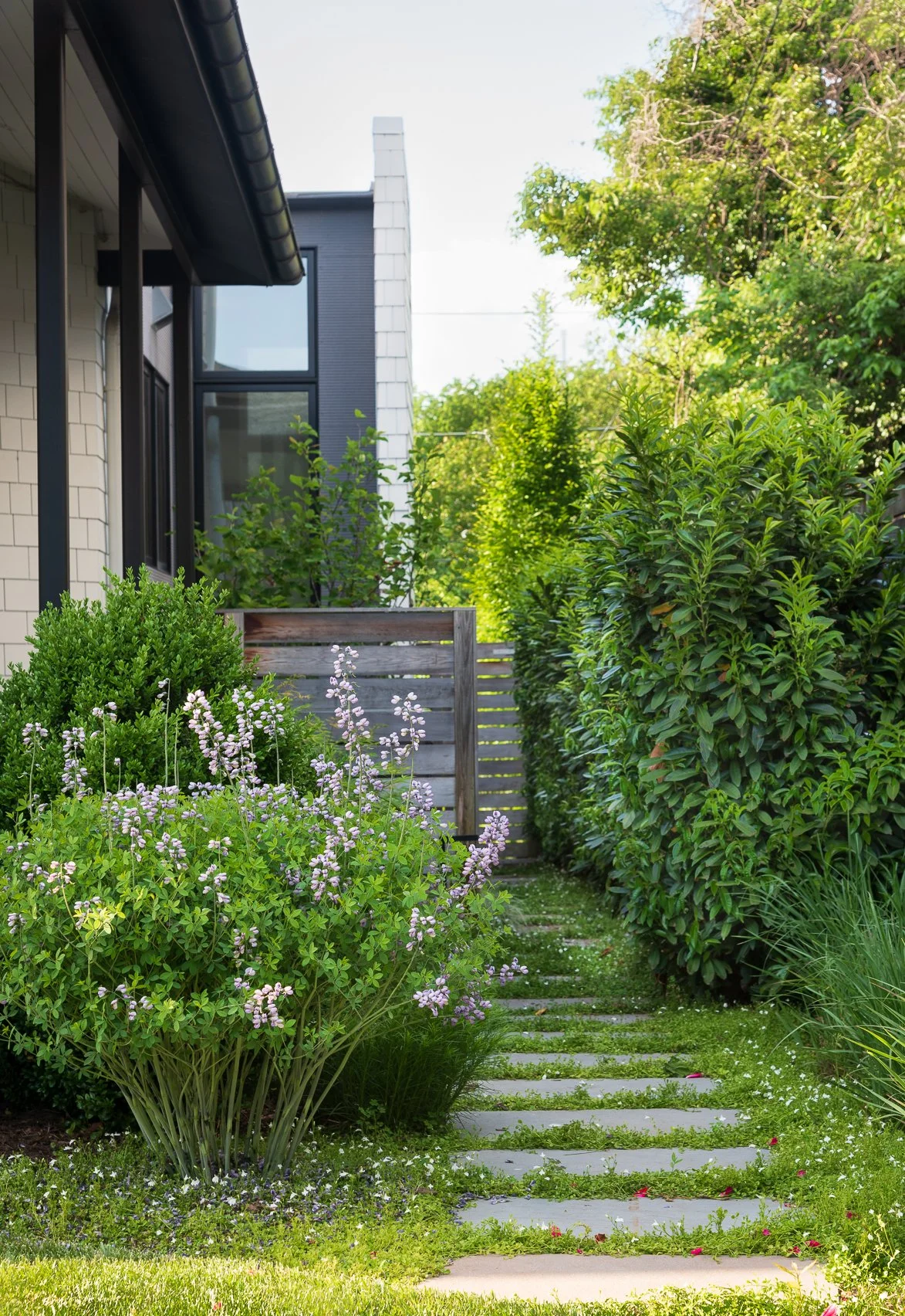 Lush plantings flower at different tiems of the year for multiple seasons of interest and a long bloom time. Structural natural stone hardscape design in NW DC.