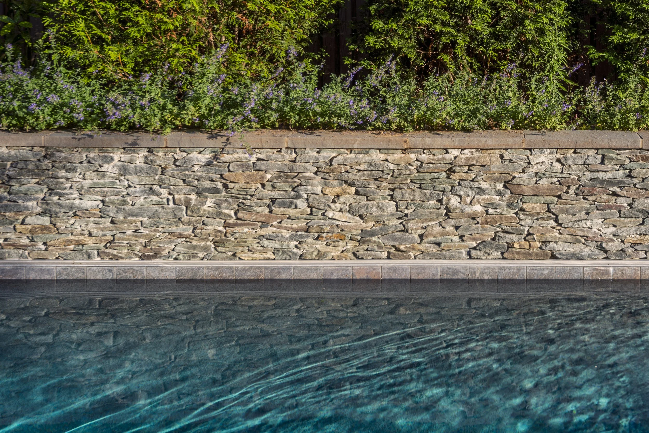 Retaining wall, pool, and screening plantings in Northern Virginia. Natural stone, natural color pool water.