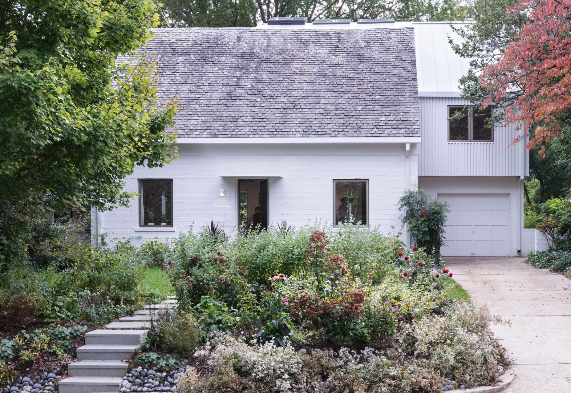 White house with a front yard filled with native wildflowers and pollinator plants and a natural stone pathway leading to the entrance. Chevy Chase, MD
