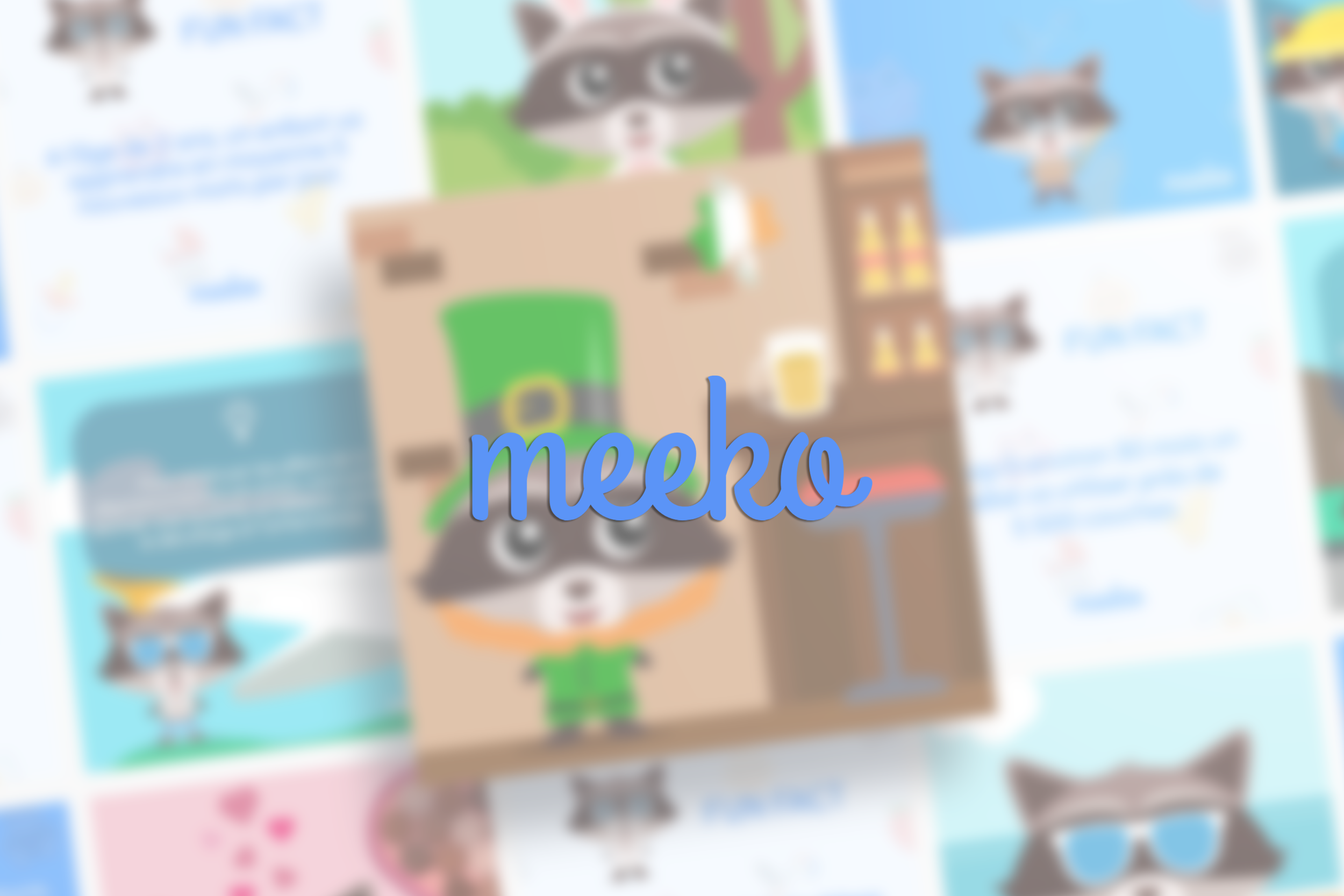 A colorful page with a cartoon raccoon wearing a hat and green pants, and the word "meero" in blue text over the image.