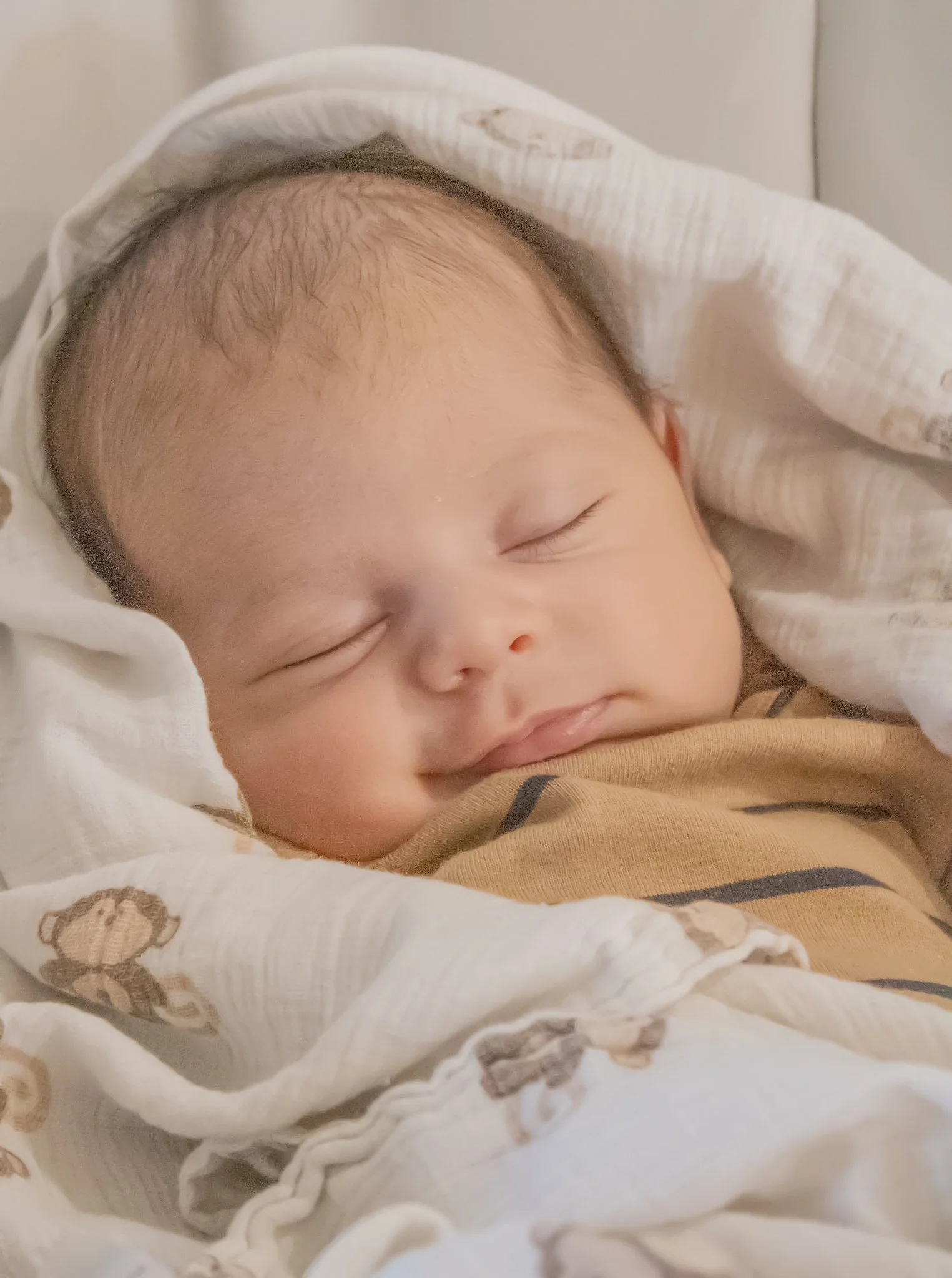 Maternity + Newborn