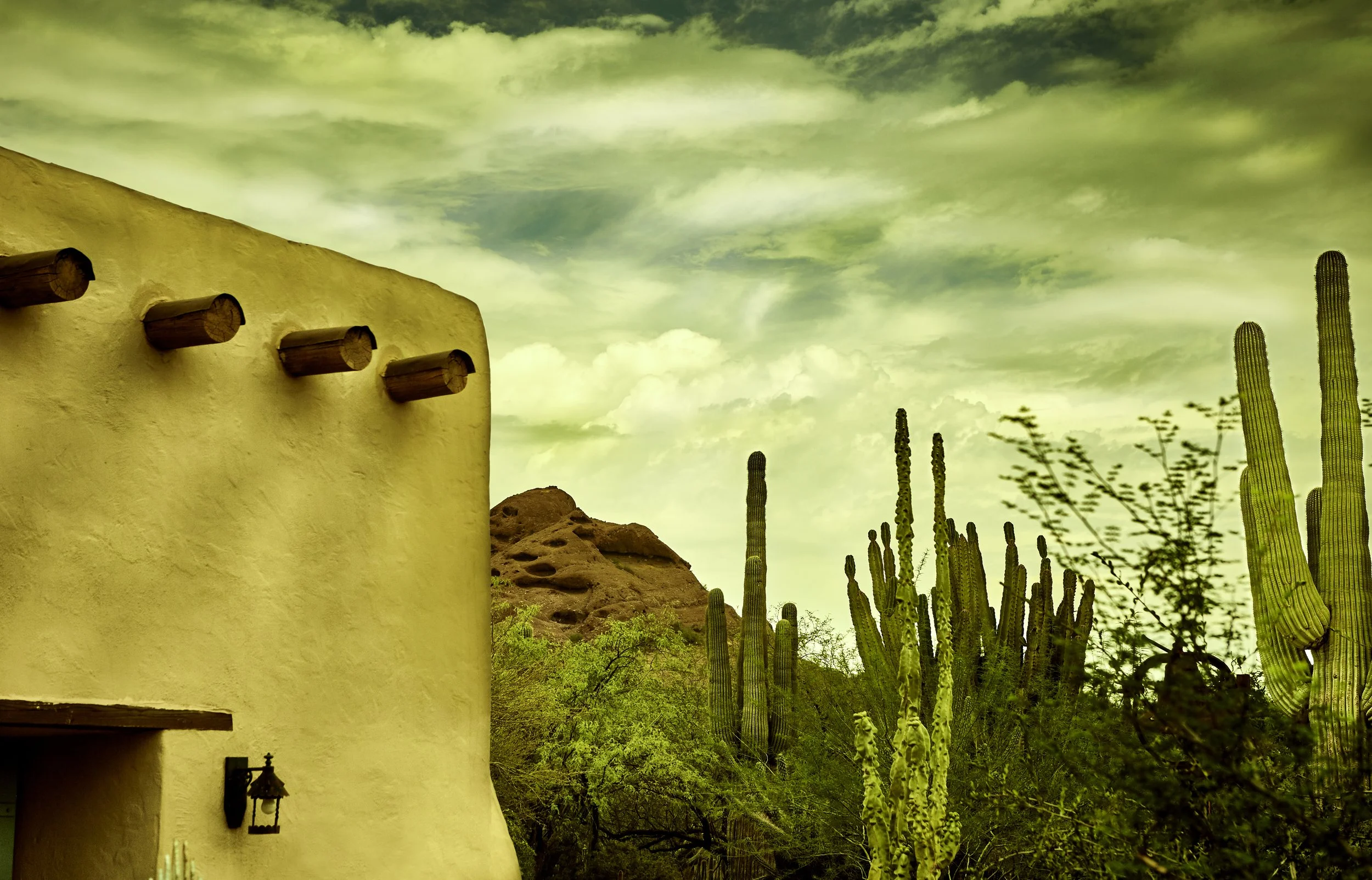 House in Catus_4503.jpg