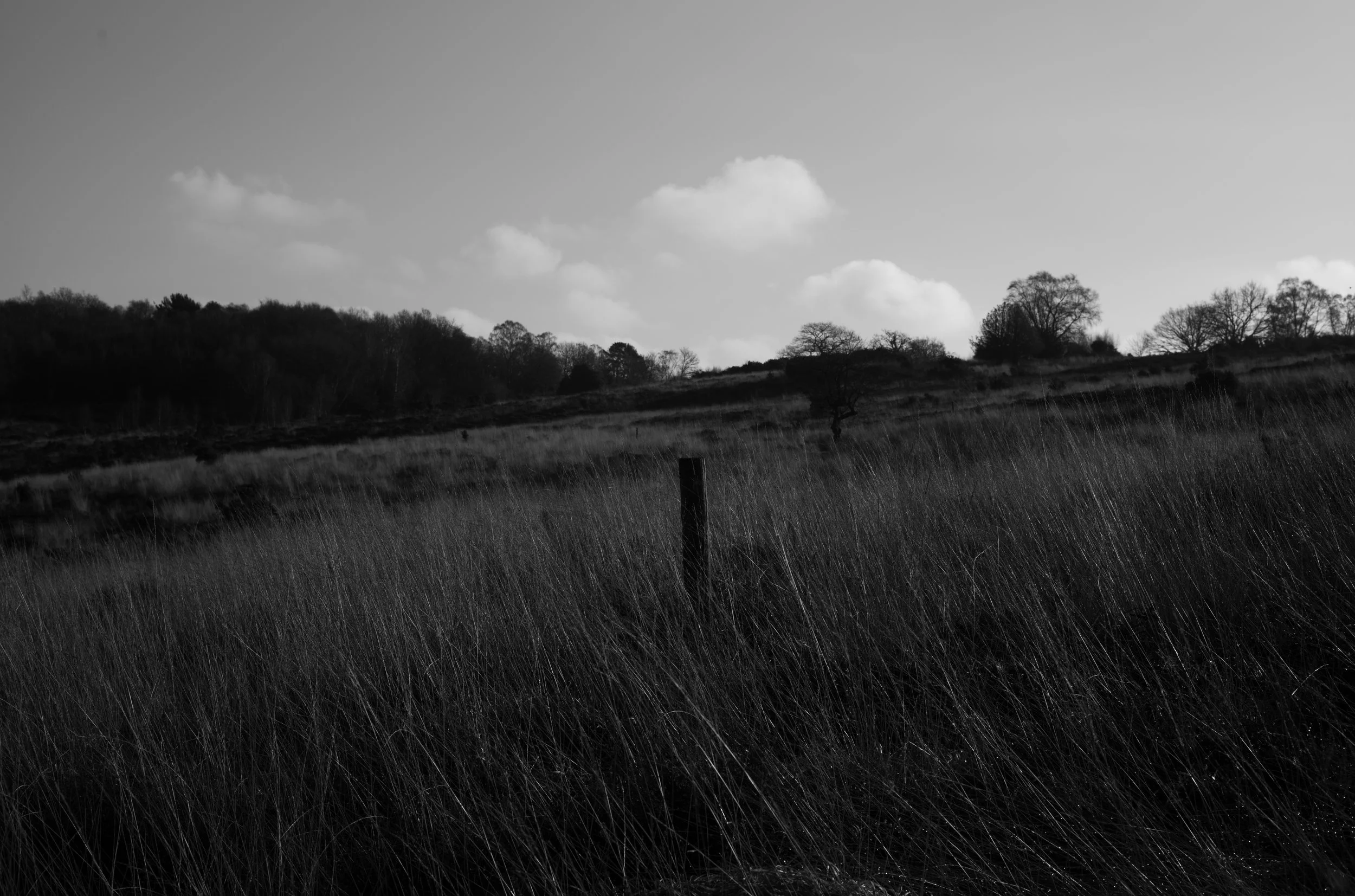 MM005853.jpg