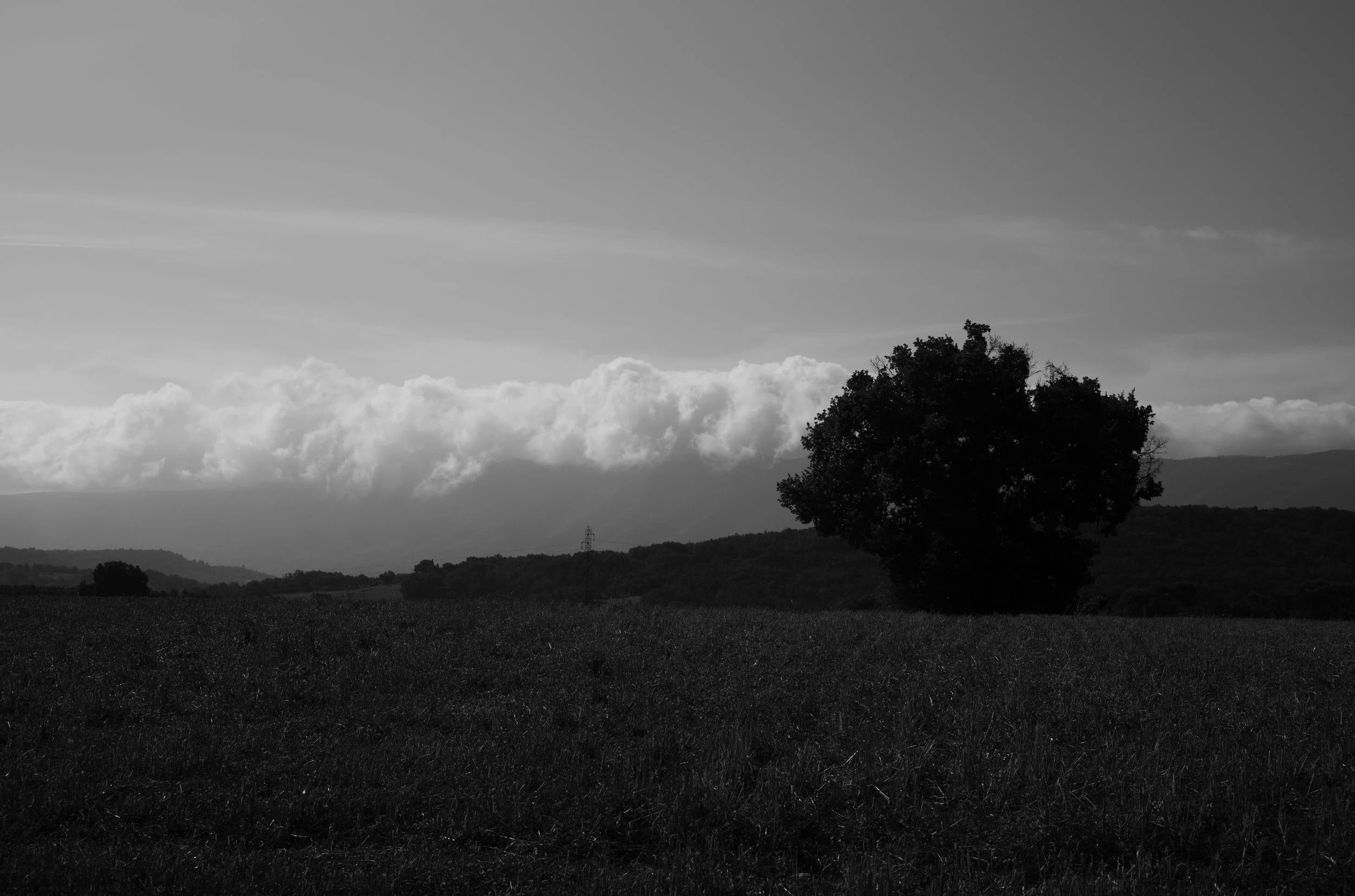 MM004109.jpg
