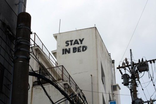 236_2011-08-16.jpg