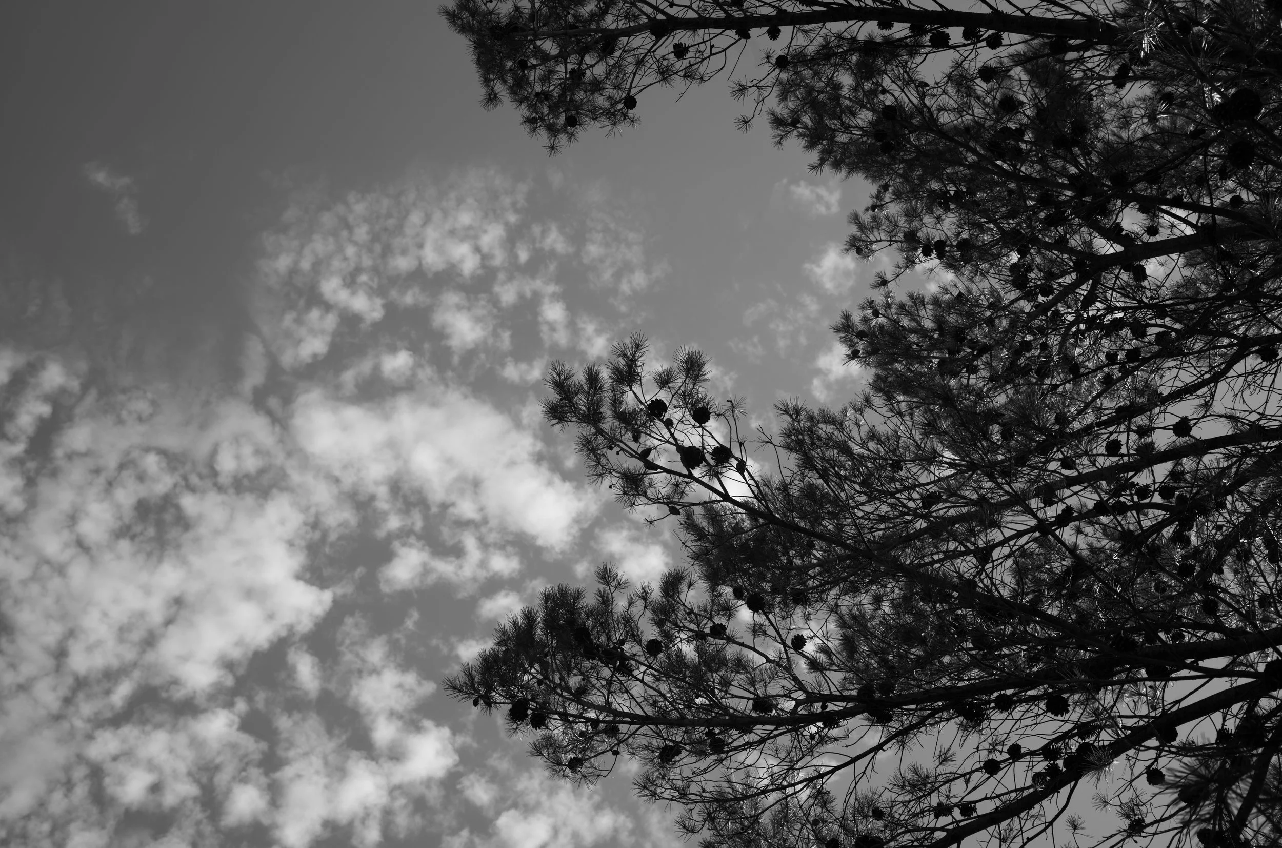 MM003667.jpg