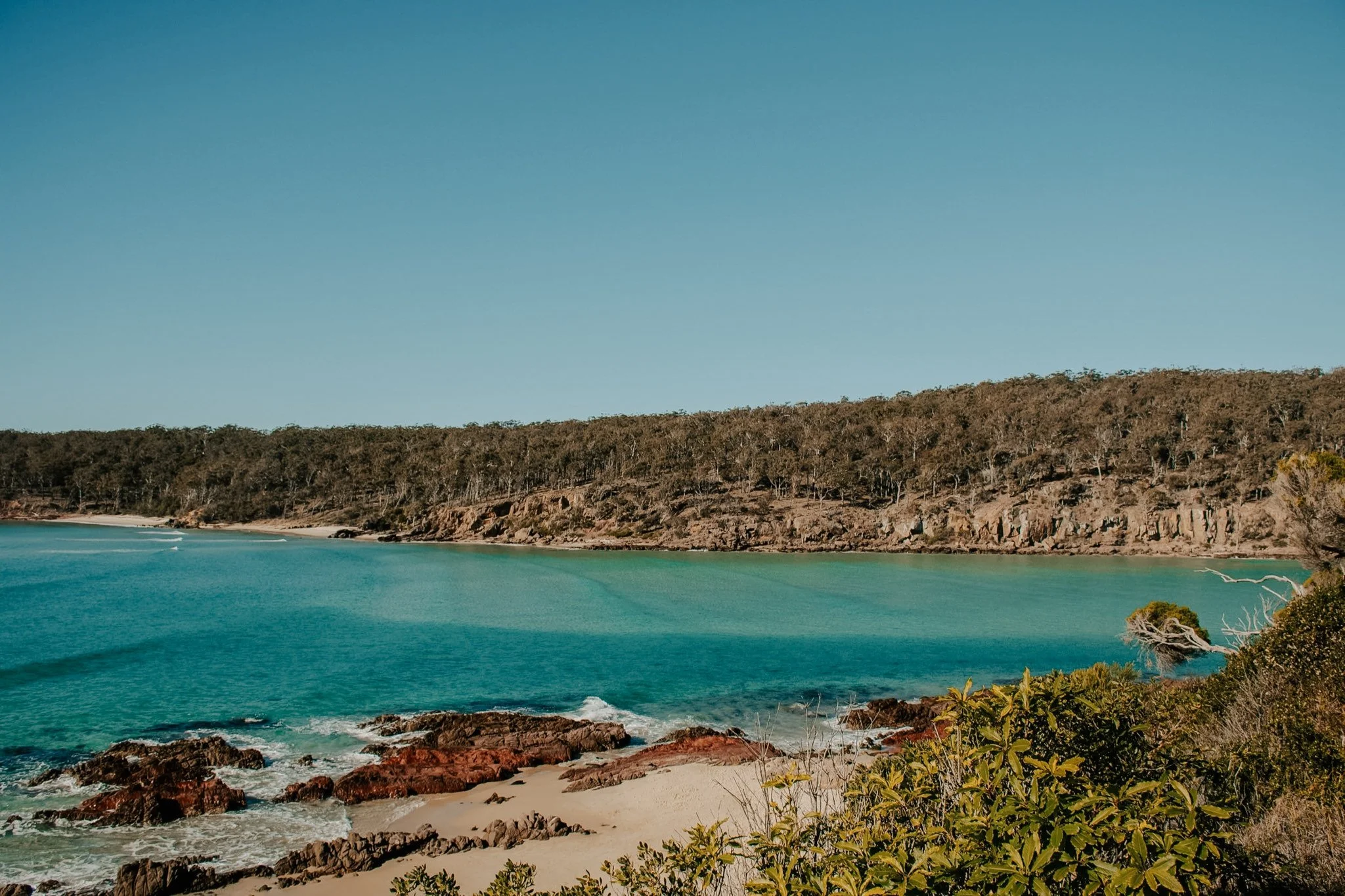 Turquoise water and bushland on the coast
