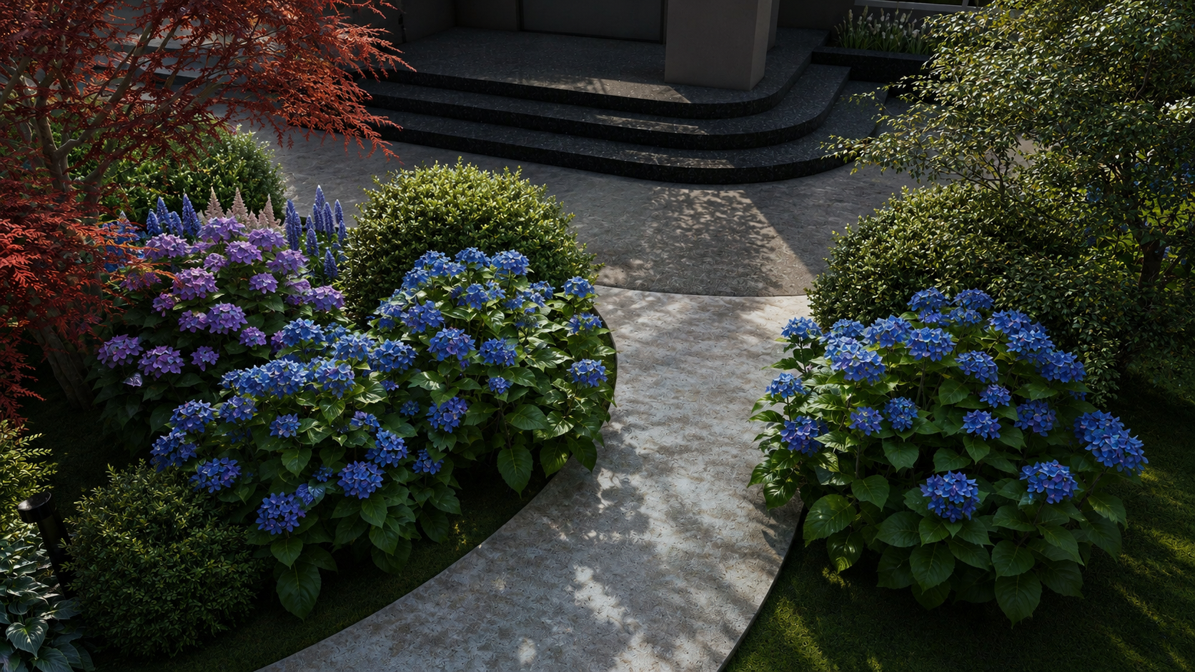 A garden with blue and purple hydrangeas, green bushes, and a curved stone pathway leading to steps in front of a house entrance.