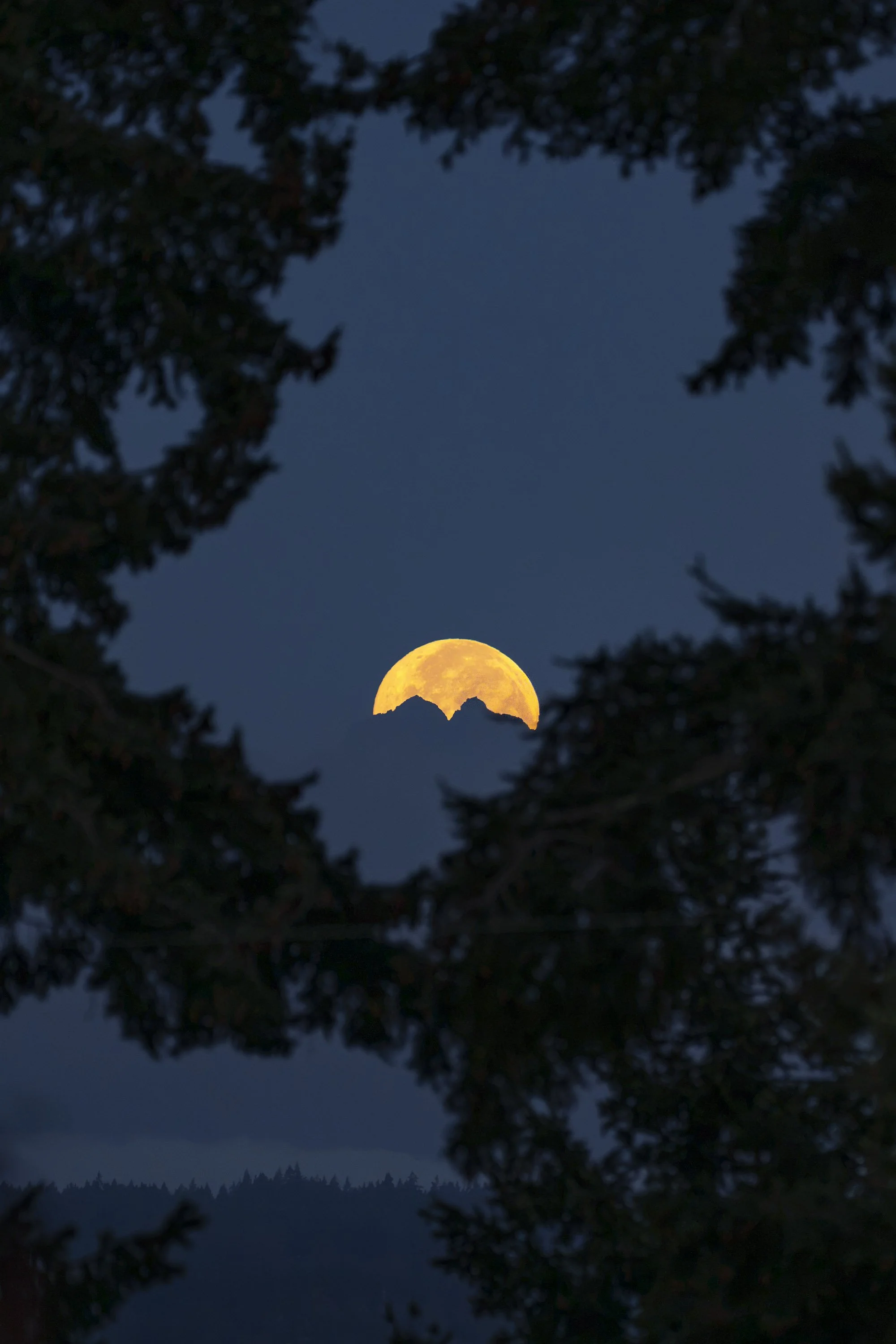 moon 2026-3.jpg