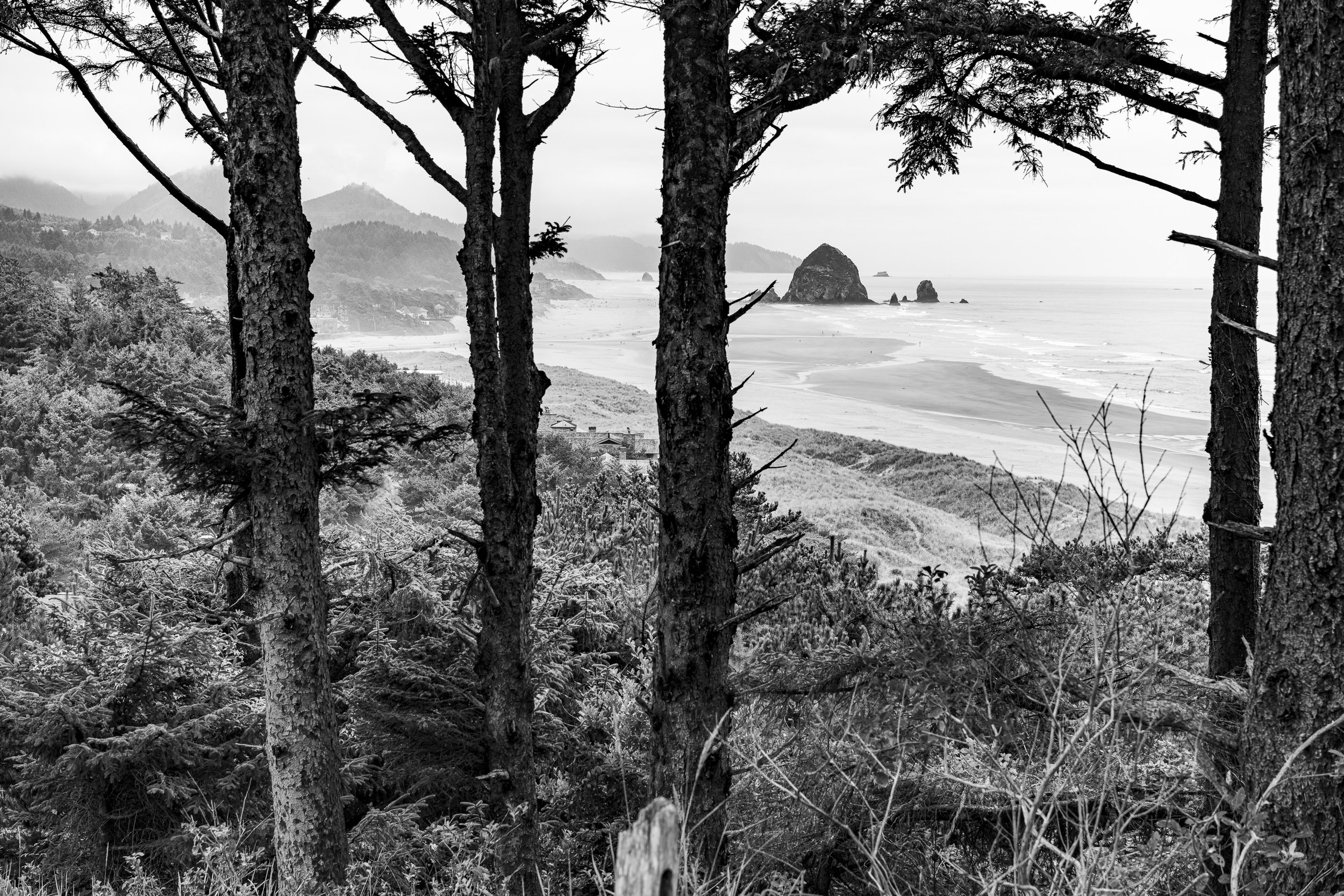 Cannon beach surfer rock social edit 3.jpg