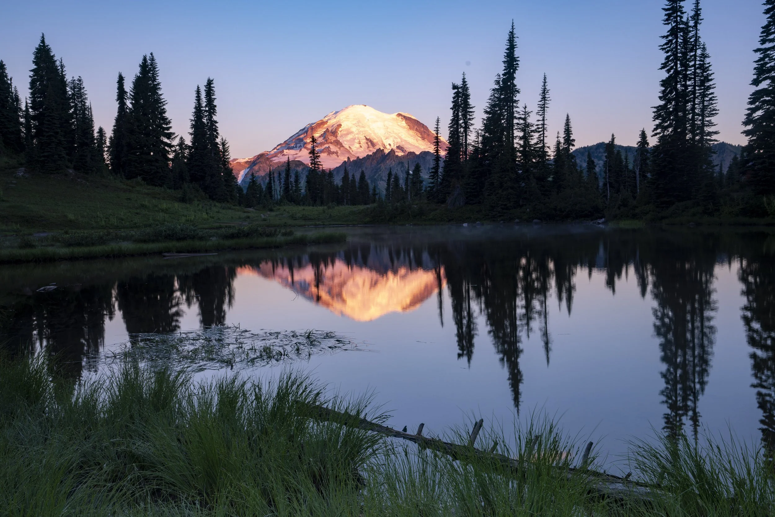Ranier tipsoo recent social edit 2-13.jpg