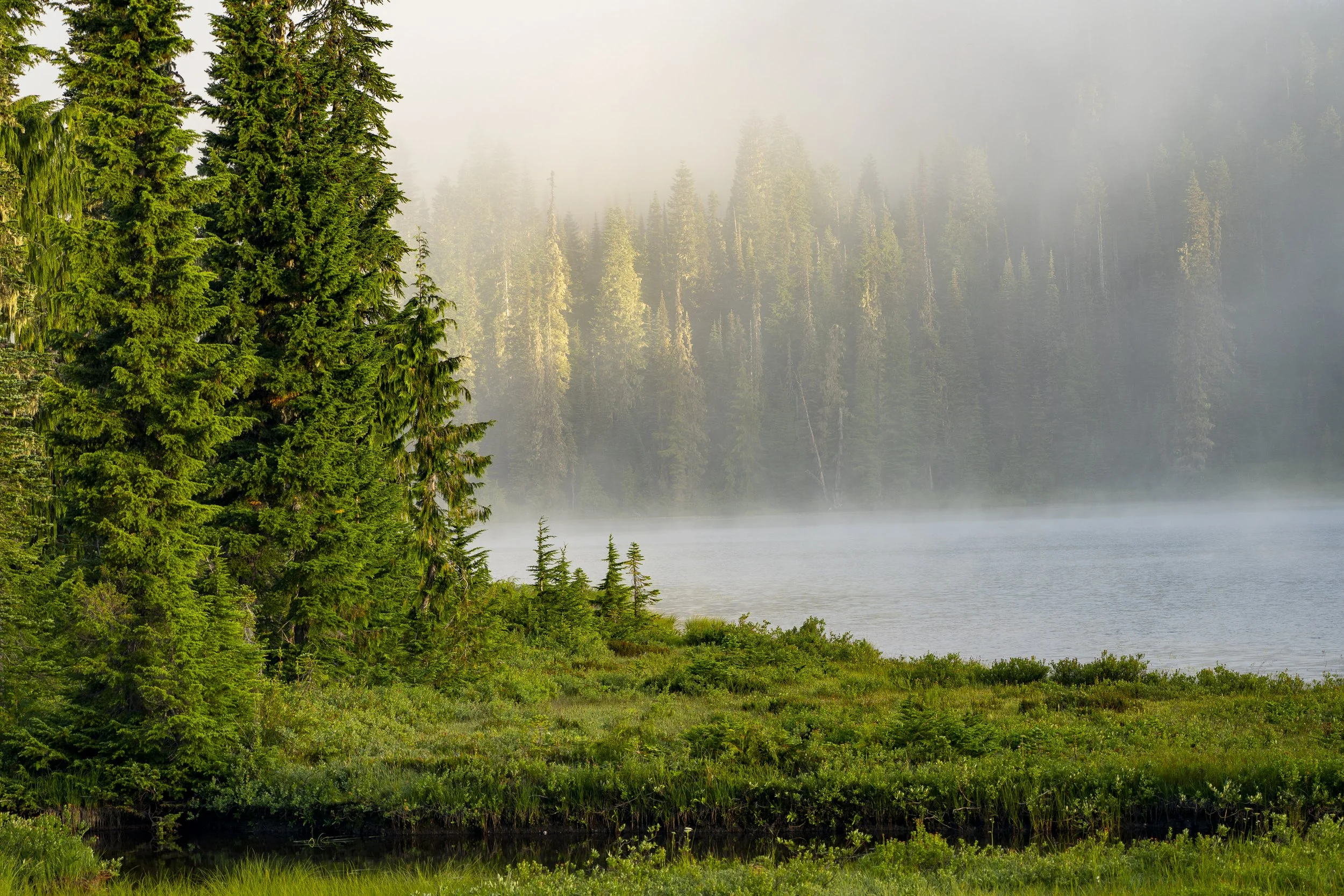 mount Rainier social edit 4-29.jpg