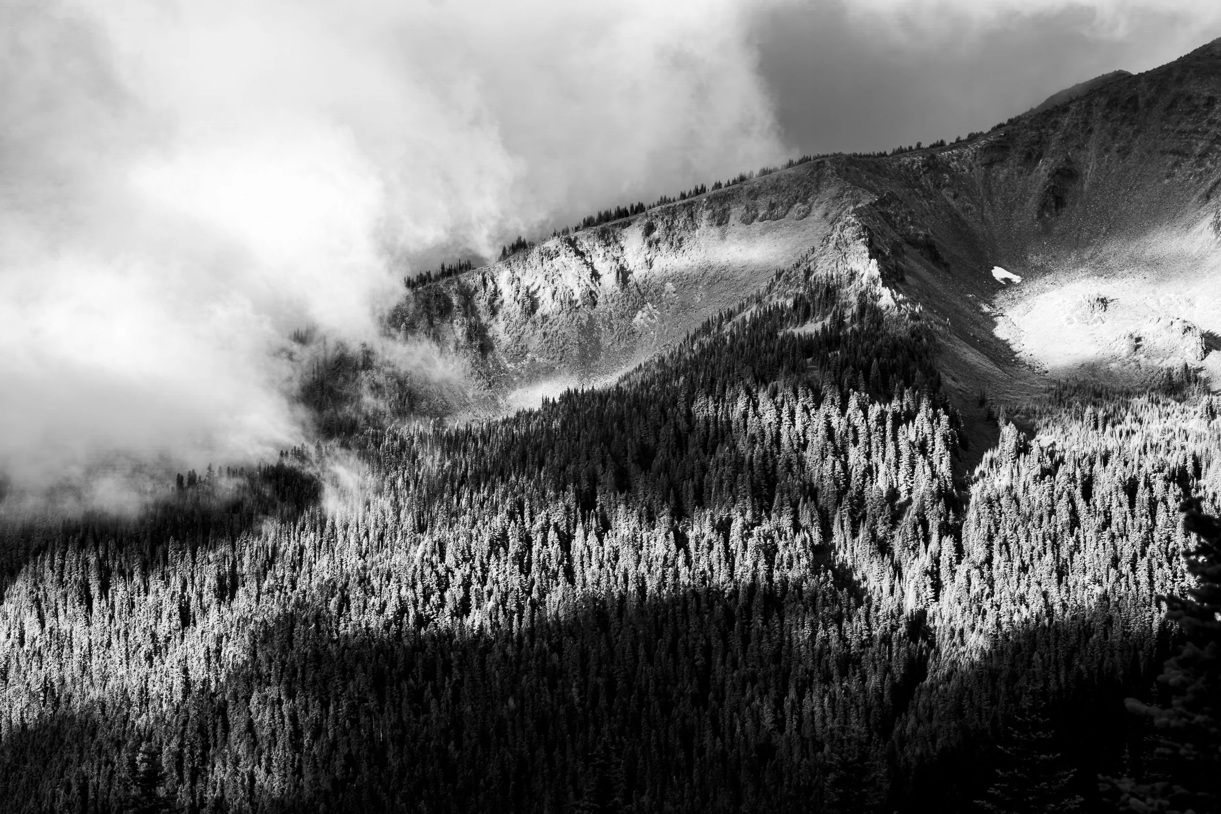 light on landscape bw social.jpg
