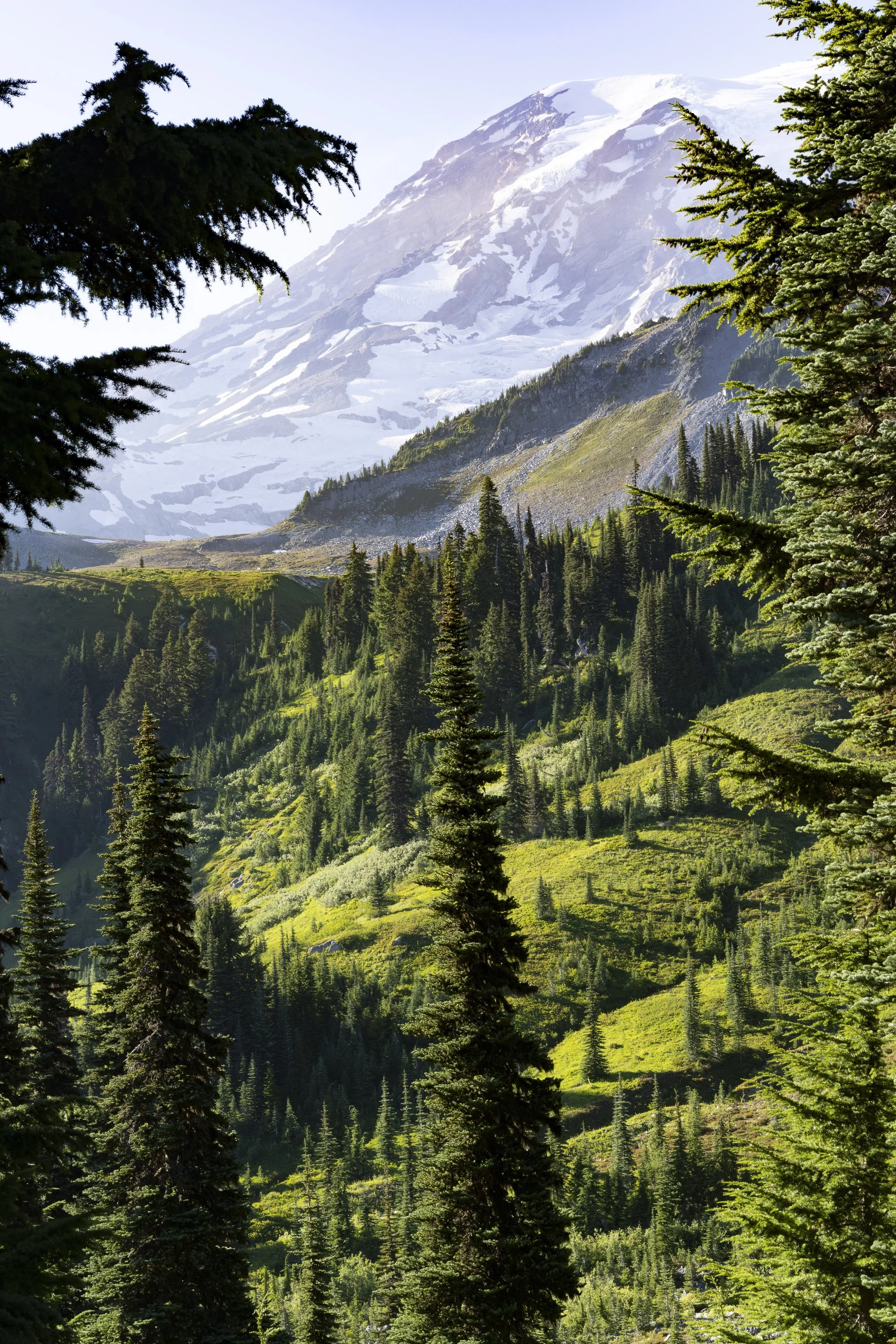dream of Rainier social-3.jpg