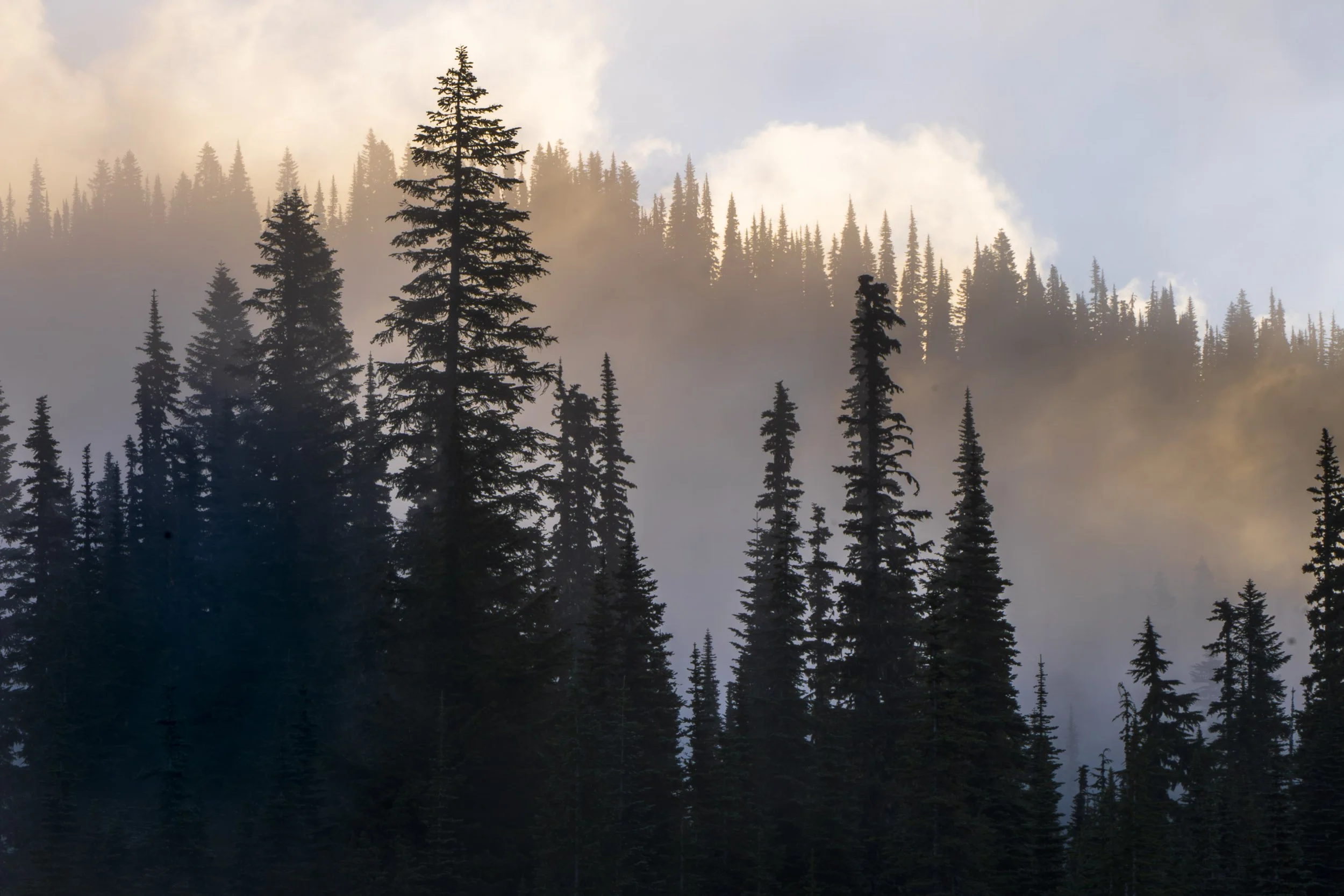 REflection lake and Silver falls-7.jpg