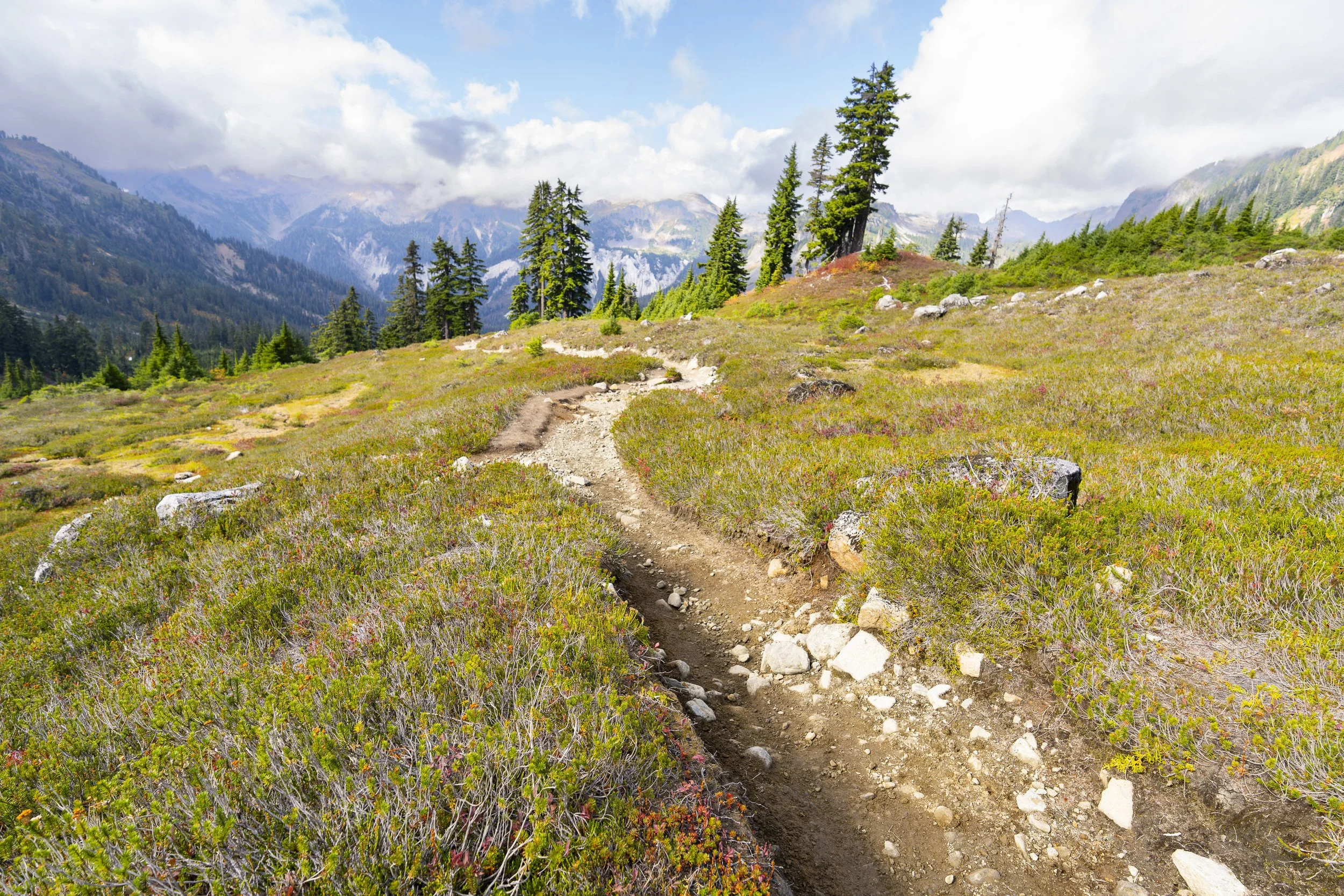 Out for a hike.jpg